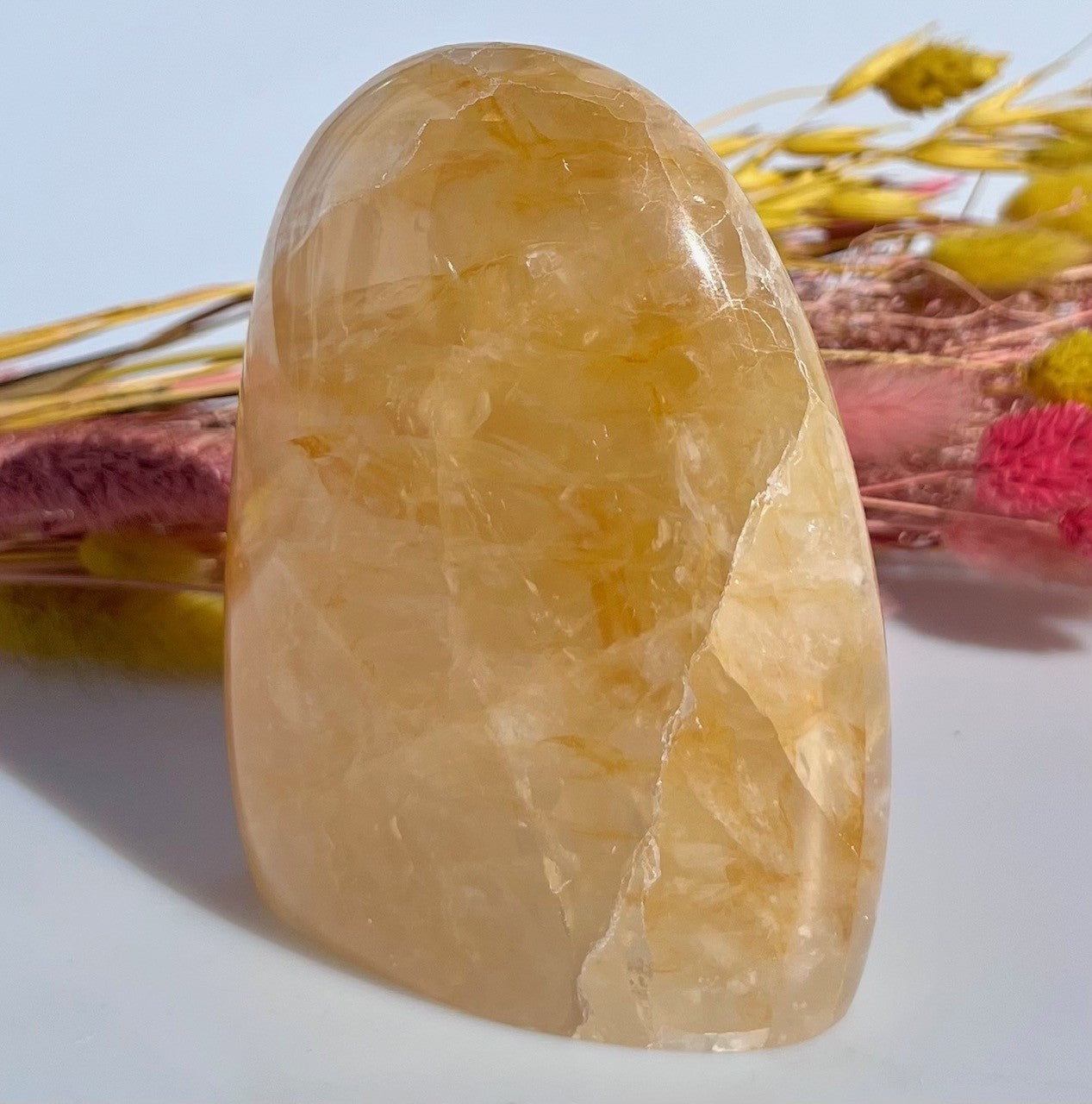 Golden healer freeform 11 cm 3