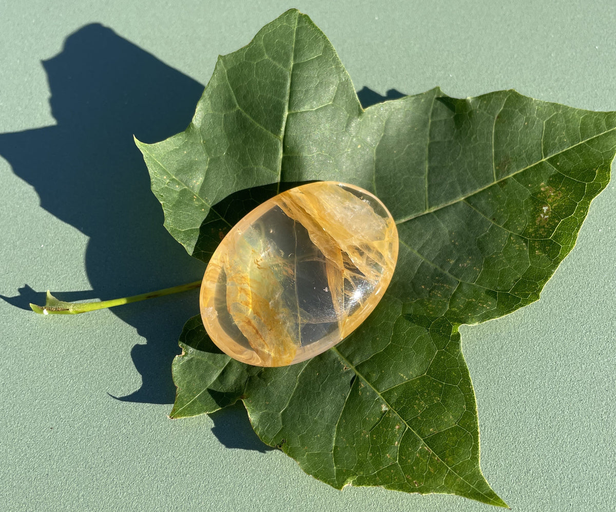 Golden healer oval 1
