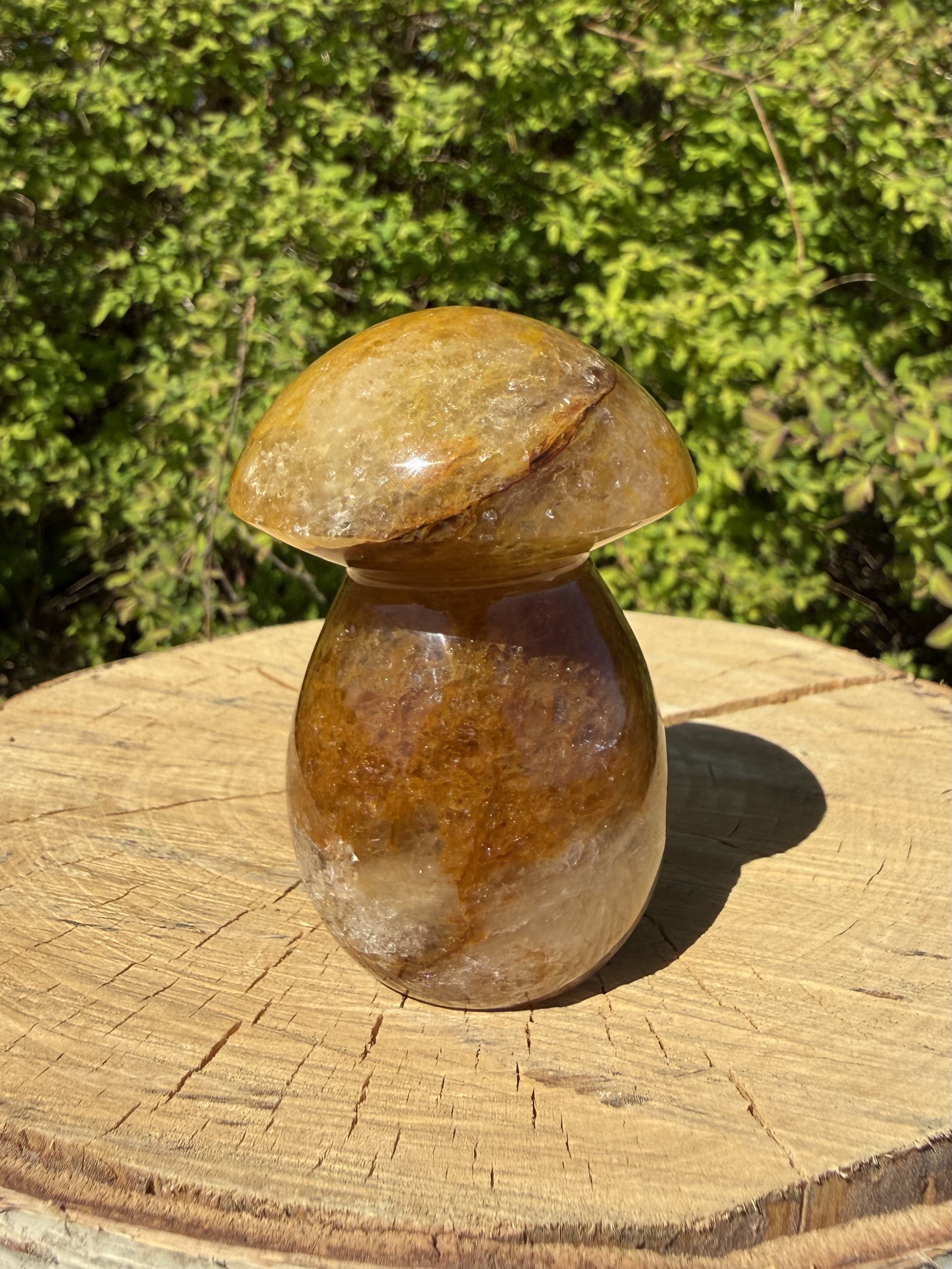 Golden Healer Paddehat 8 cm 2