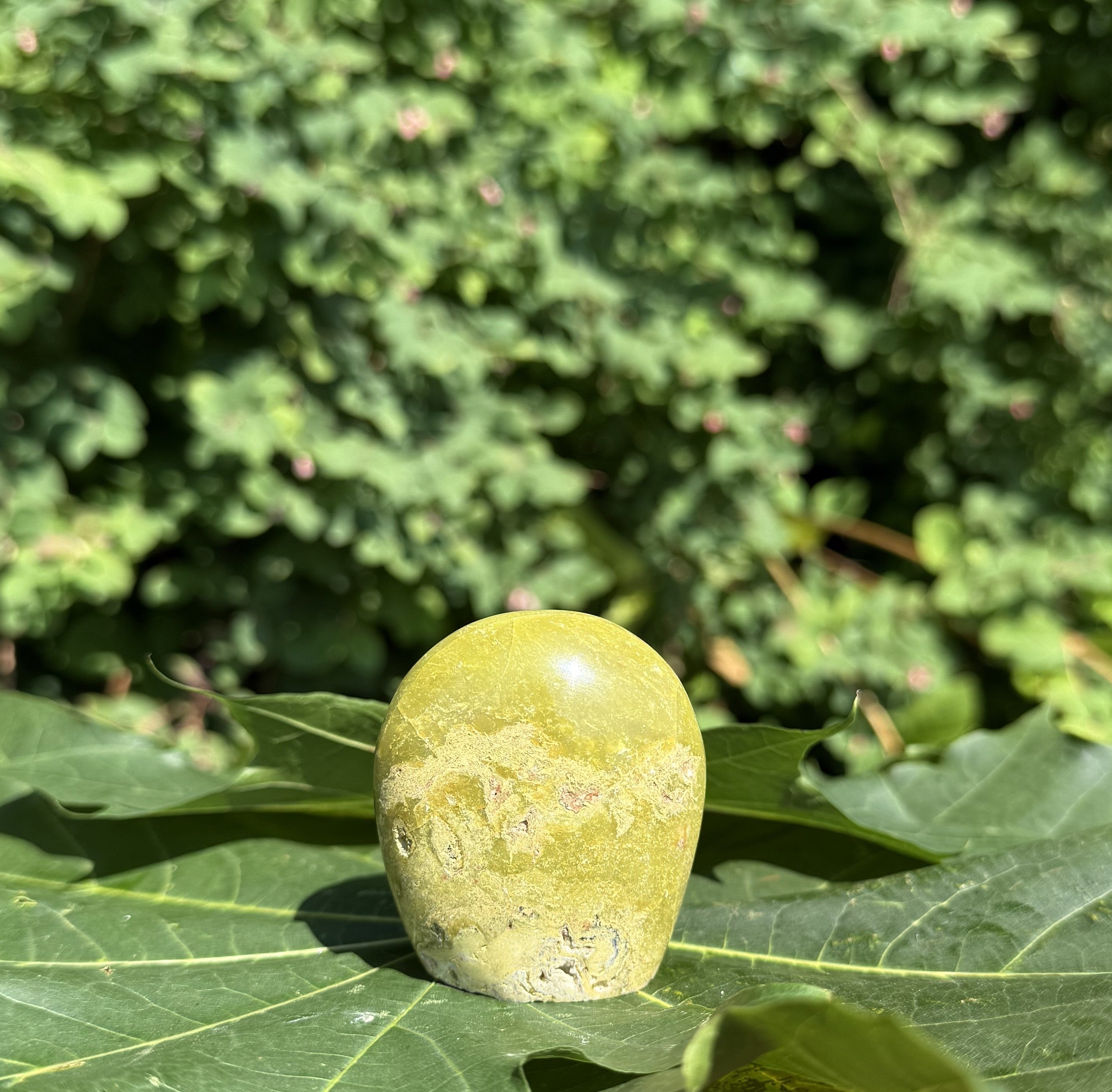 Grøn opal freeform 5 - 6 1