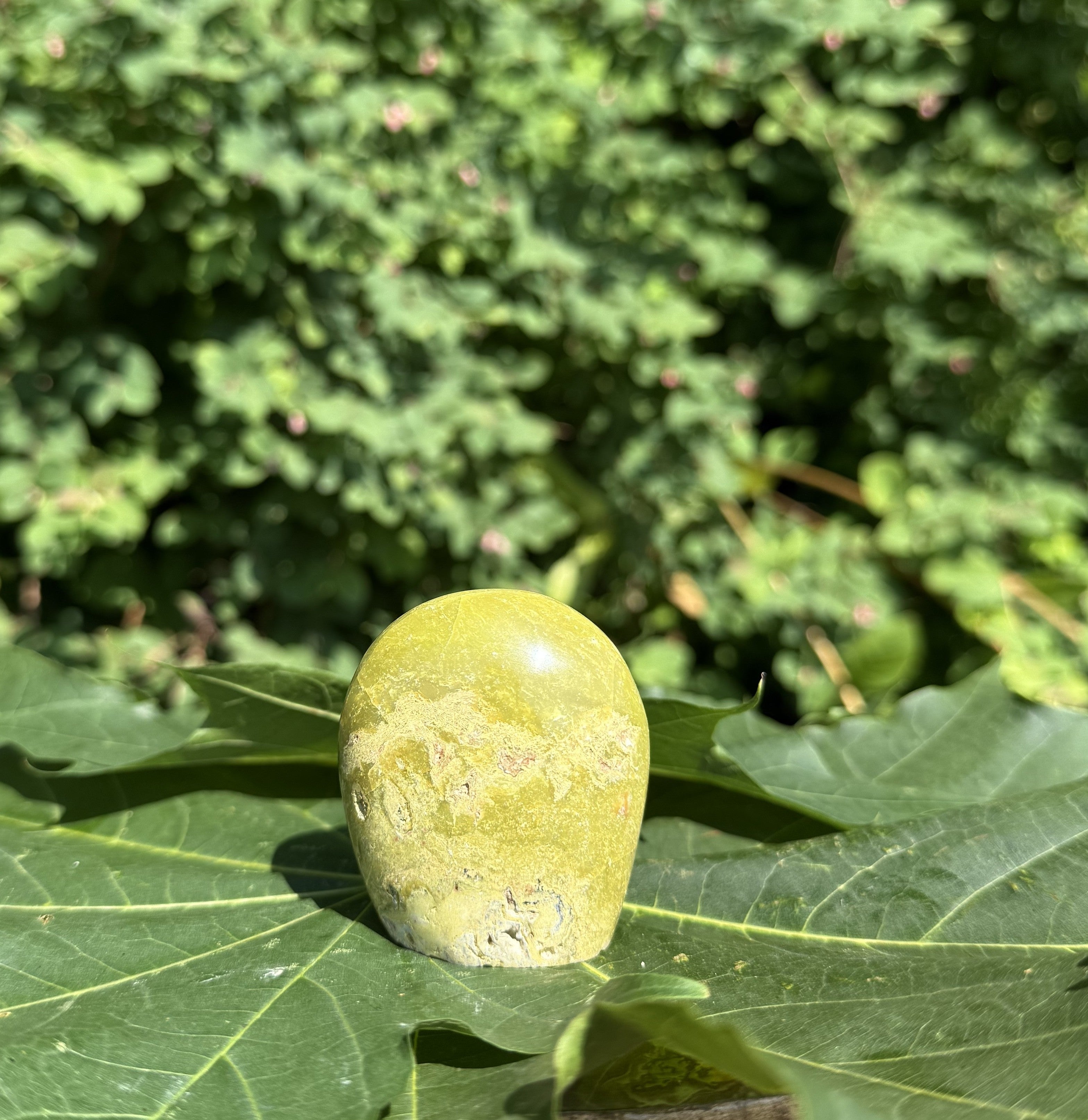 Grøn opal freeform 5 - 6 5