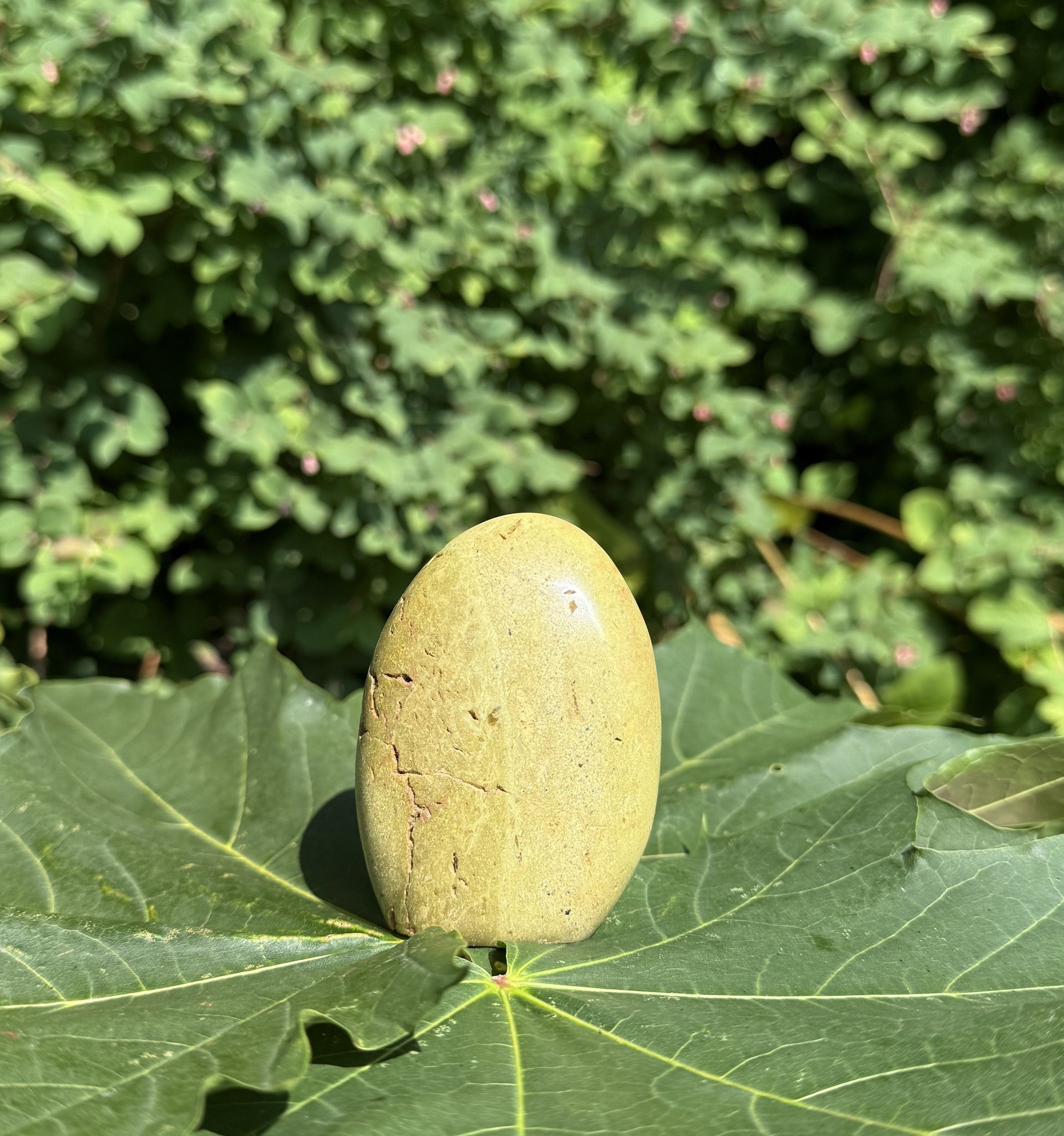 Grøn opal freeform 6 - 7 1