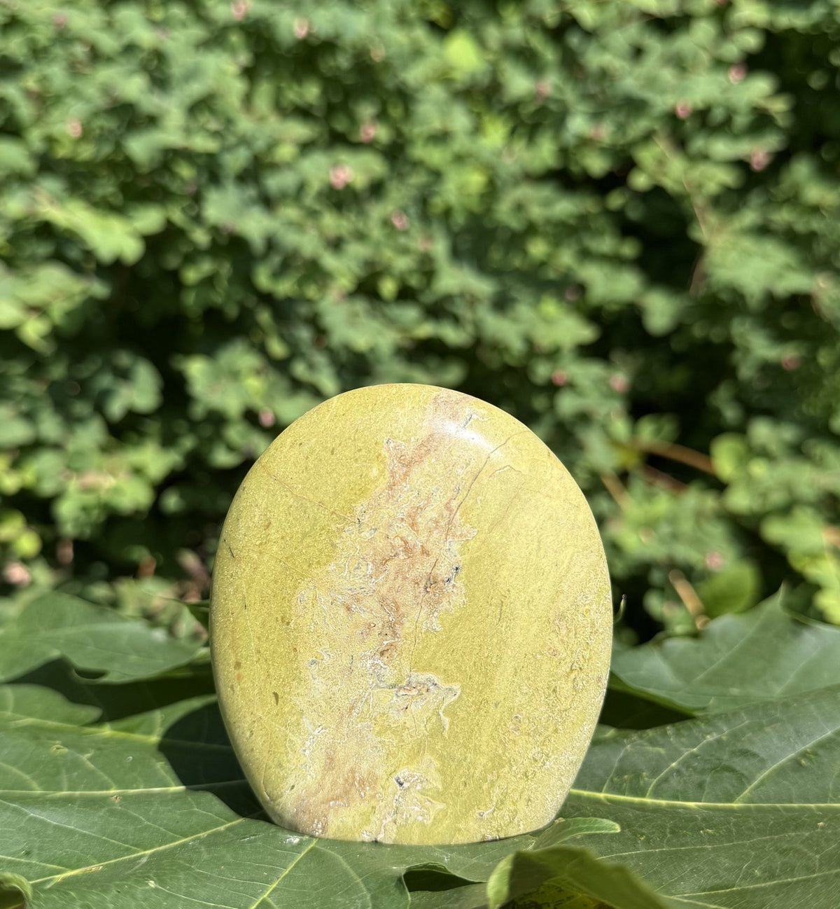 Grøn opal freeform 8 - 9 3