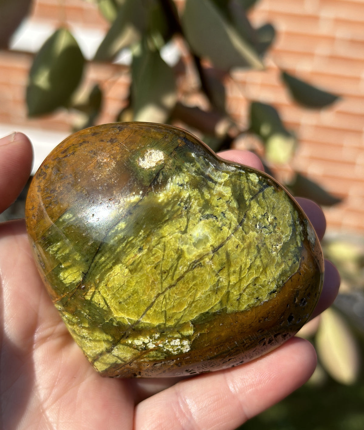 Grøn opal hjerte 5 - 6 cm 1
