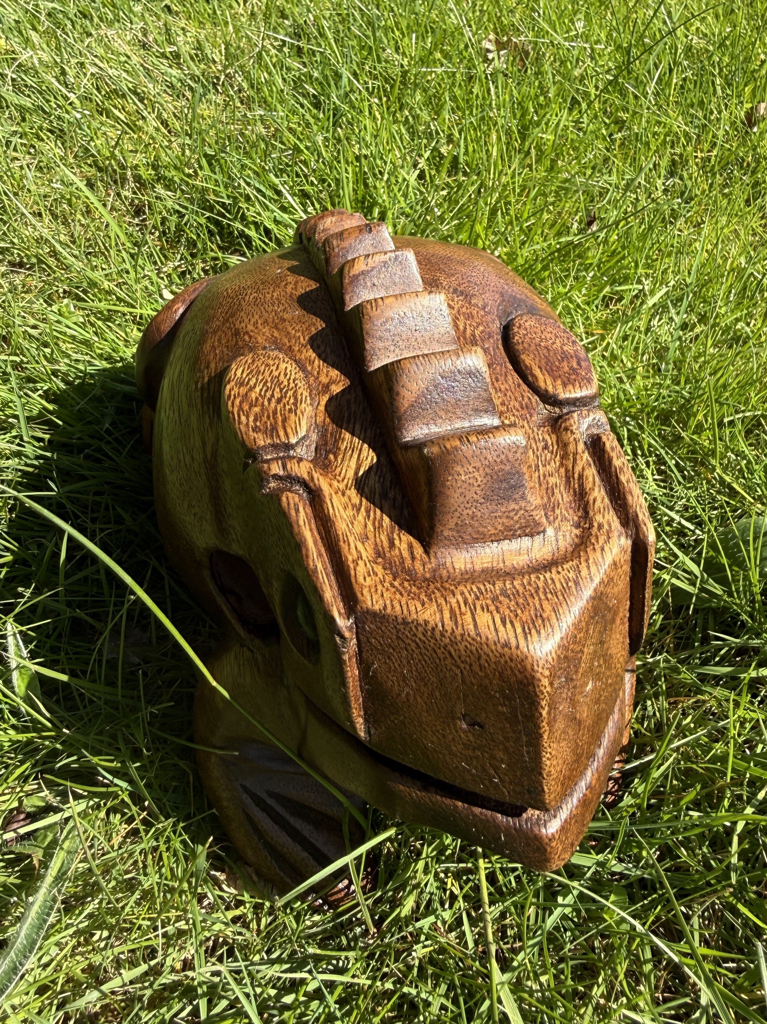 Guiro – Frø 20 cm 6
