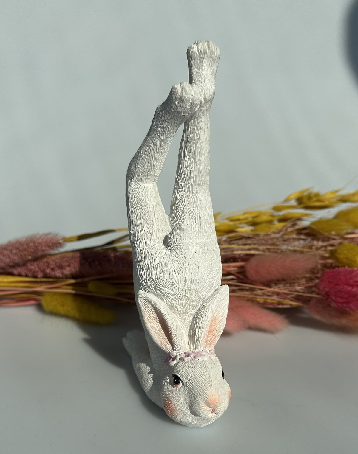 Hare i yogastilling 1 2