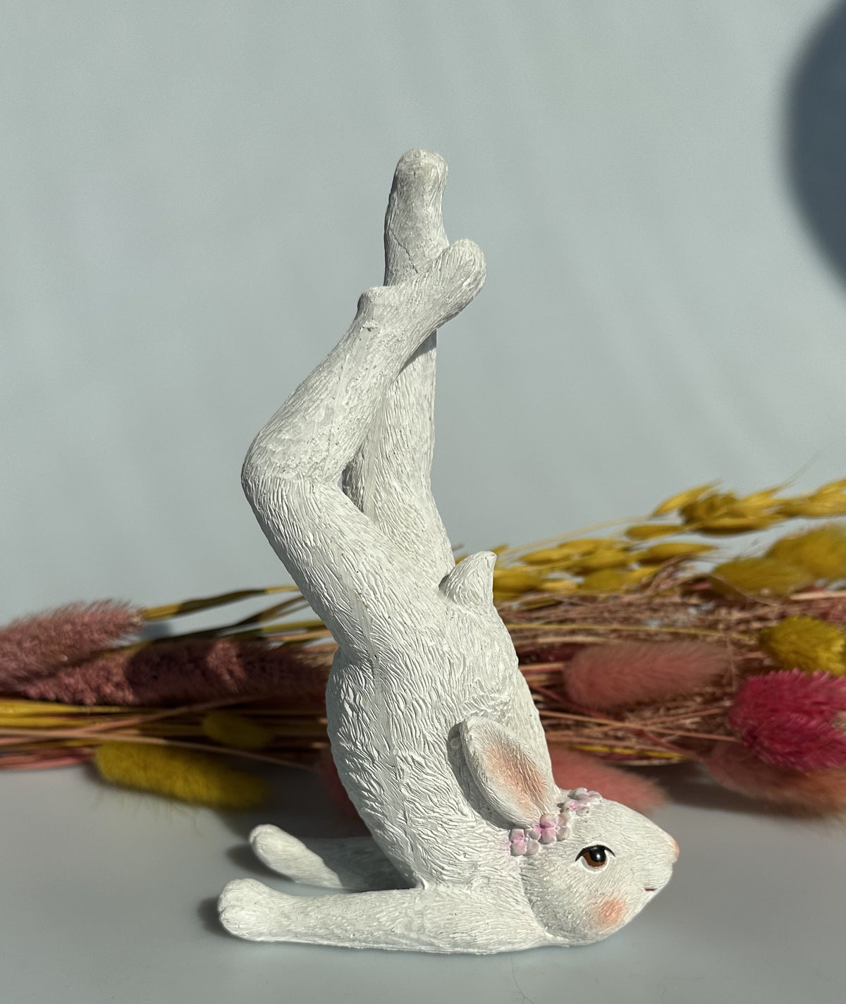 Hare i yogastilling 1 3