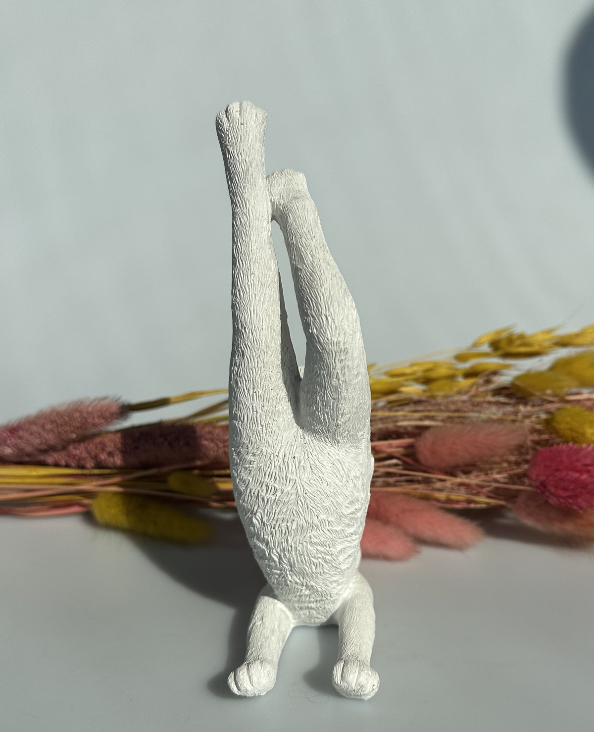Hare i yogastilling 1 4