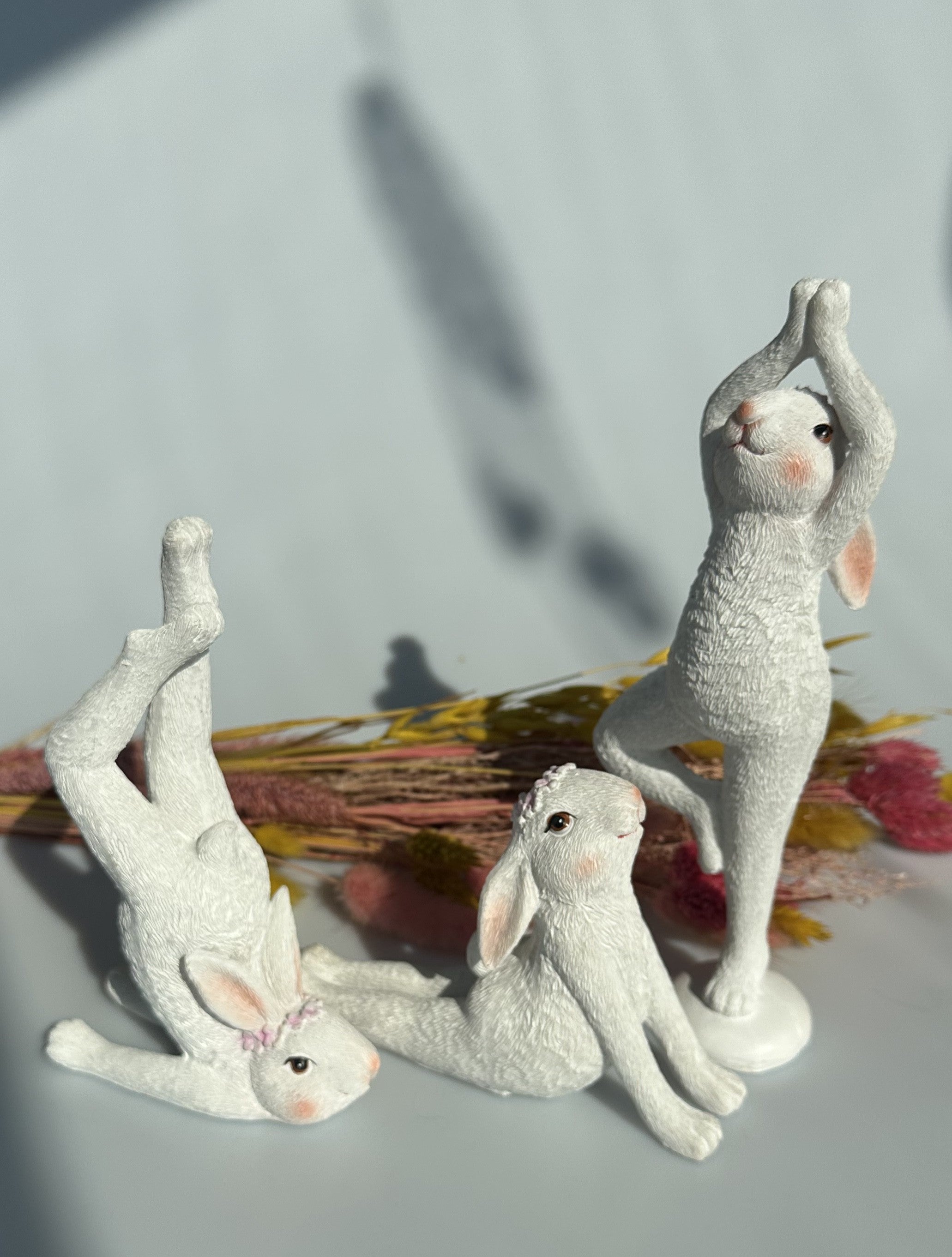 Hare i yogastilling 1 5