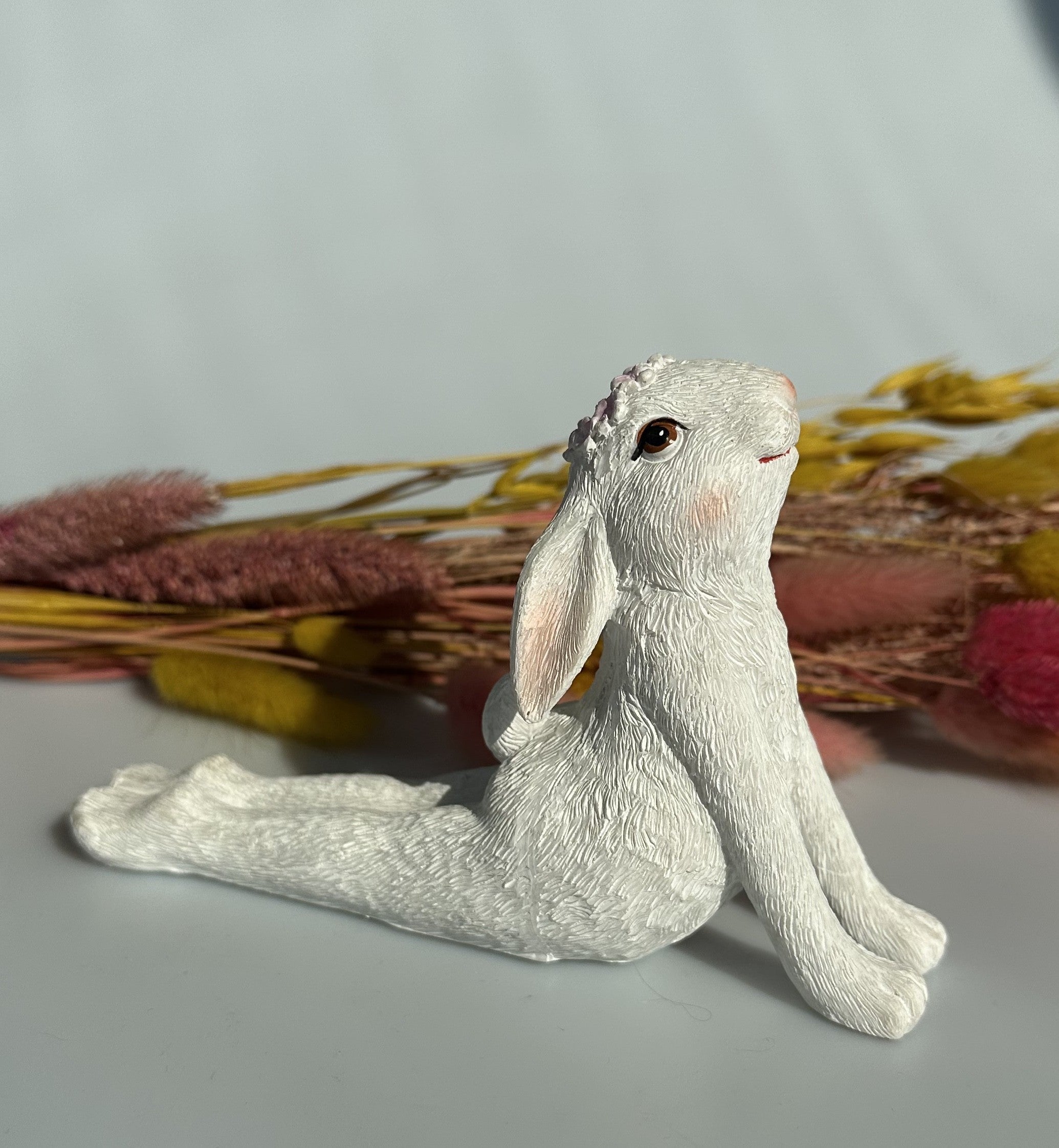 Hare i yogastilling 2 4