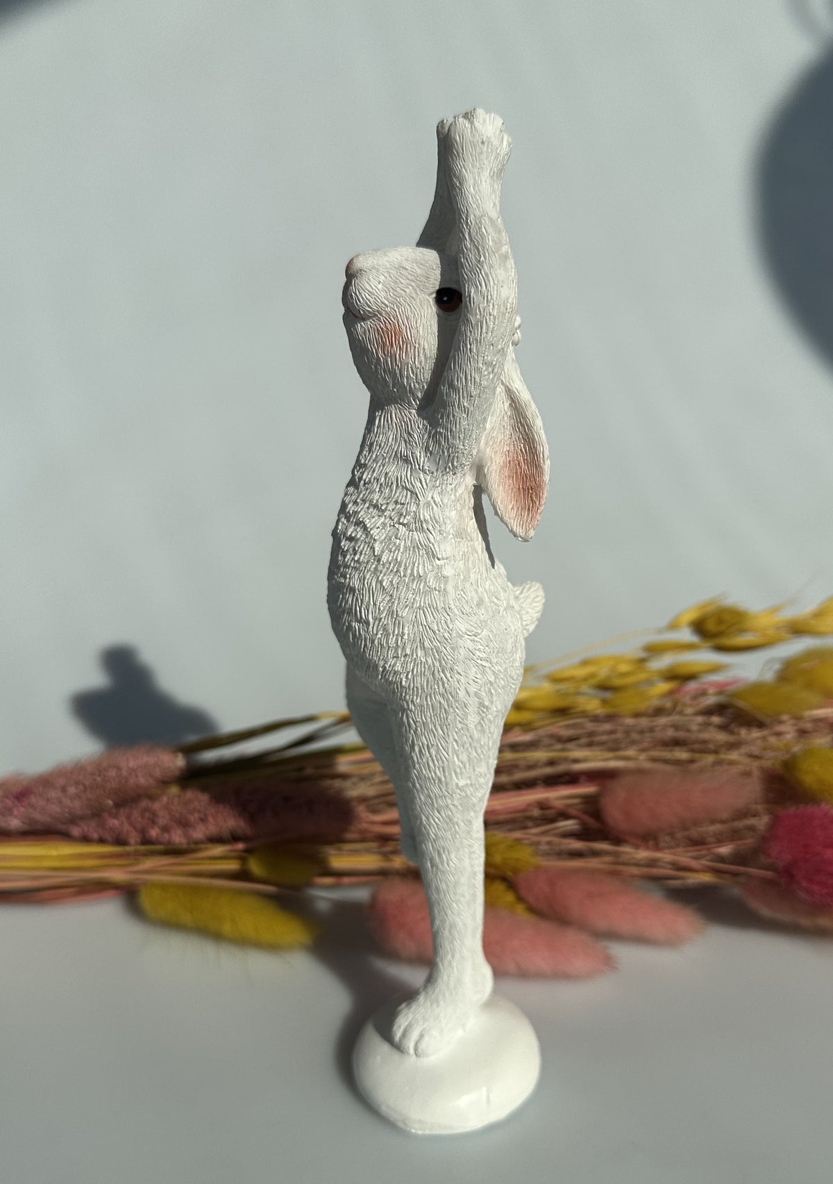 Hare i yogastilling 4