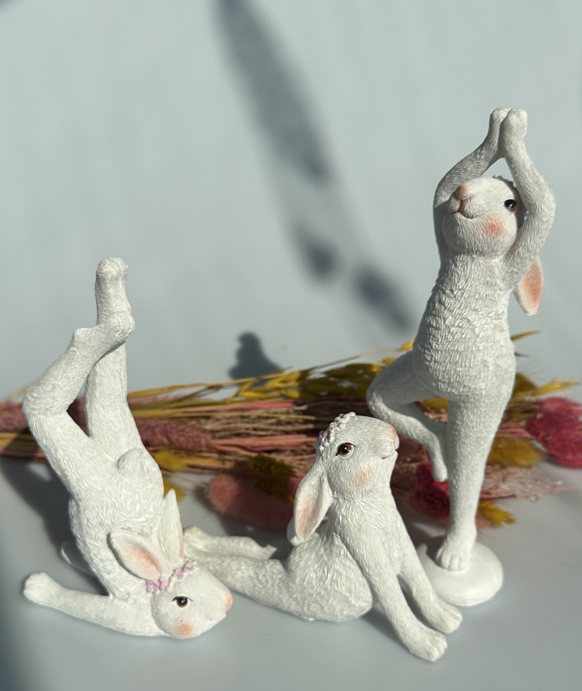 Hare i yogastilling 6