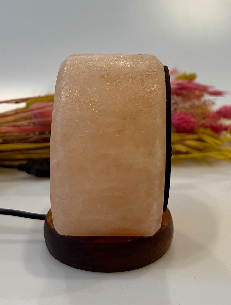 Himalaya Saltlampe med Livets Træ - USB 2