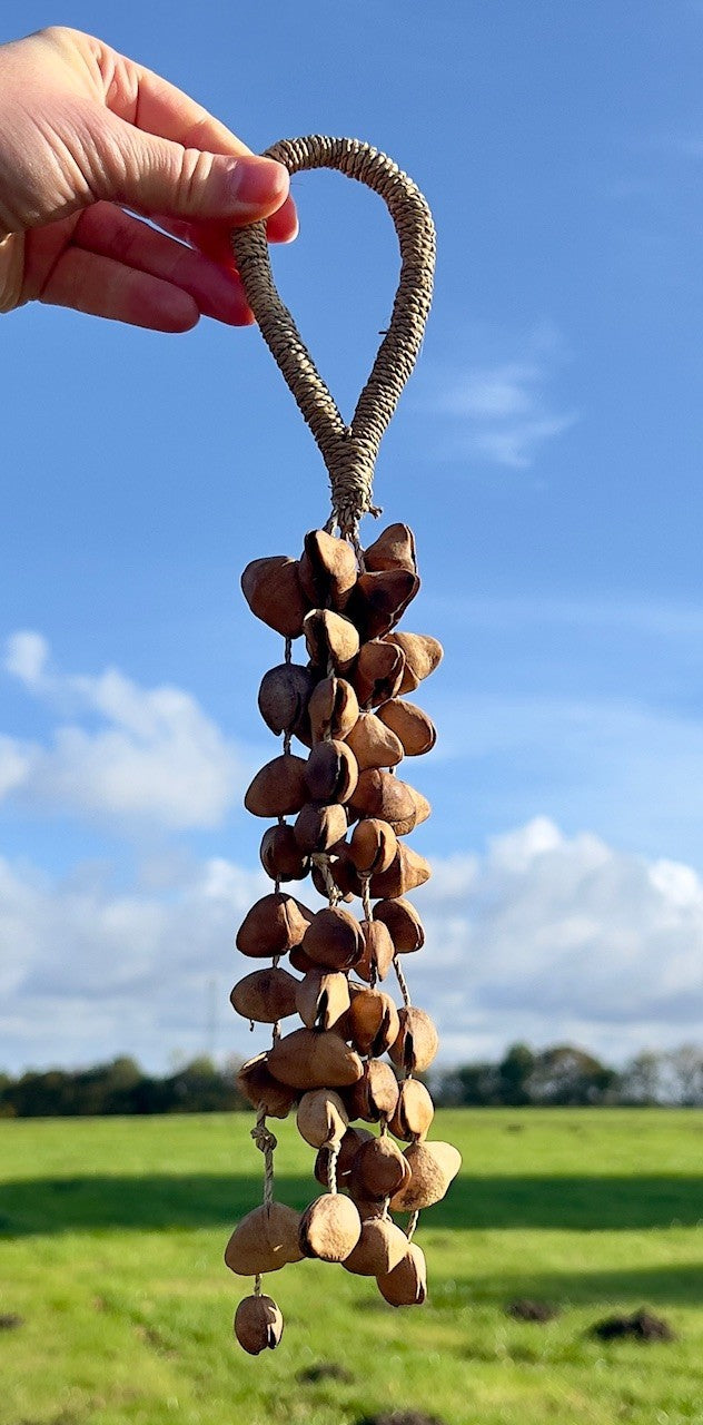 Instrument - seedshaker kenari 1