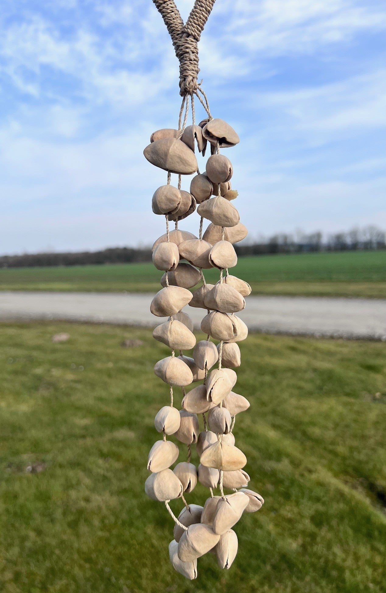 Instrument - seedshaker kenari 4
