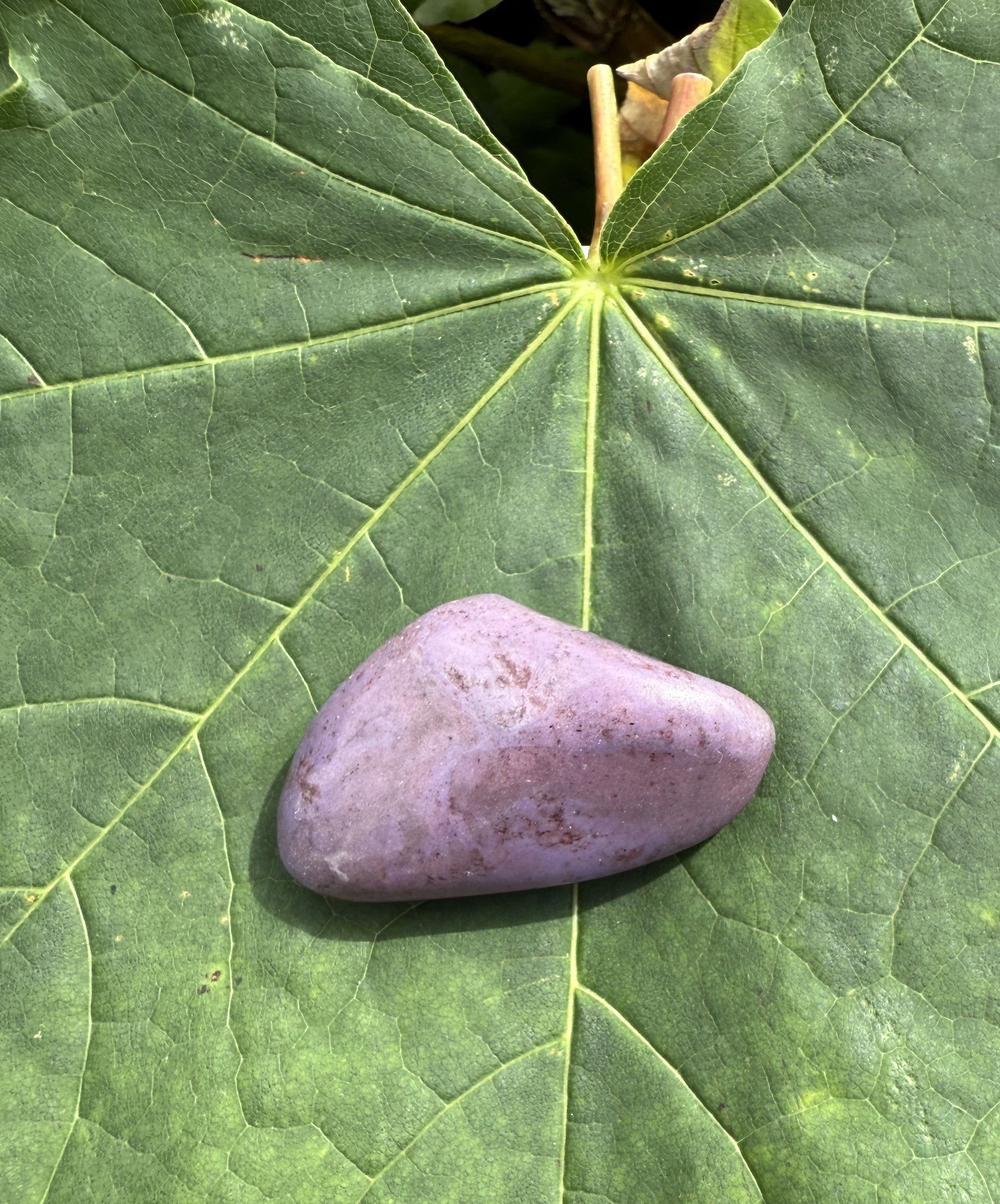 Jade lavendel lommesten 1
