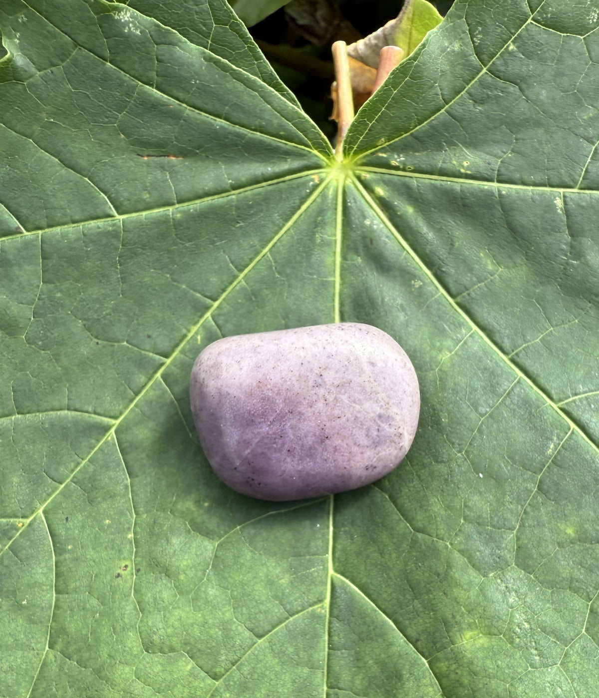 Jade lavendel lommesten 2