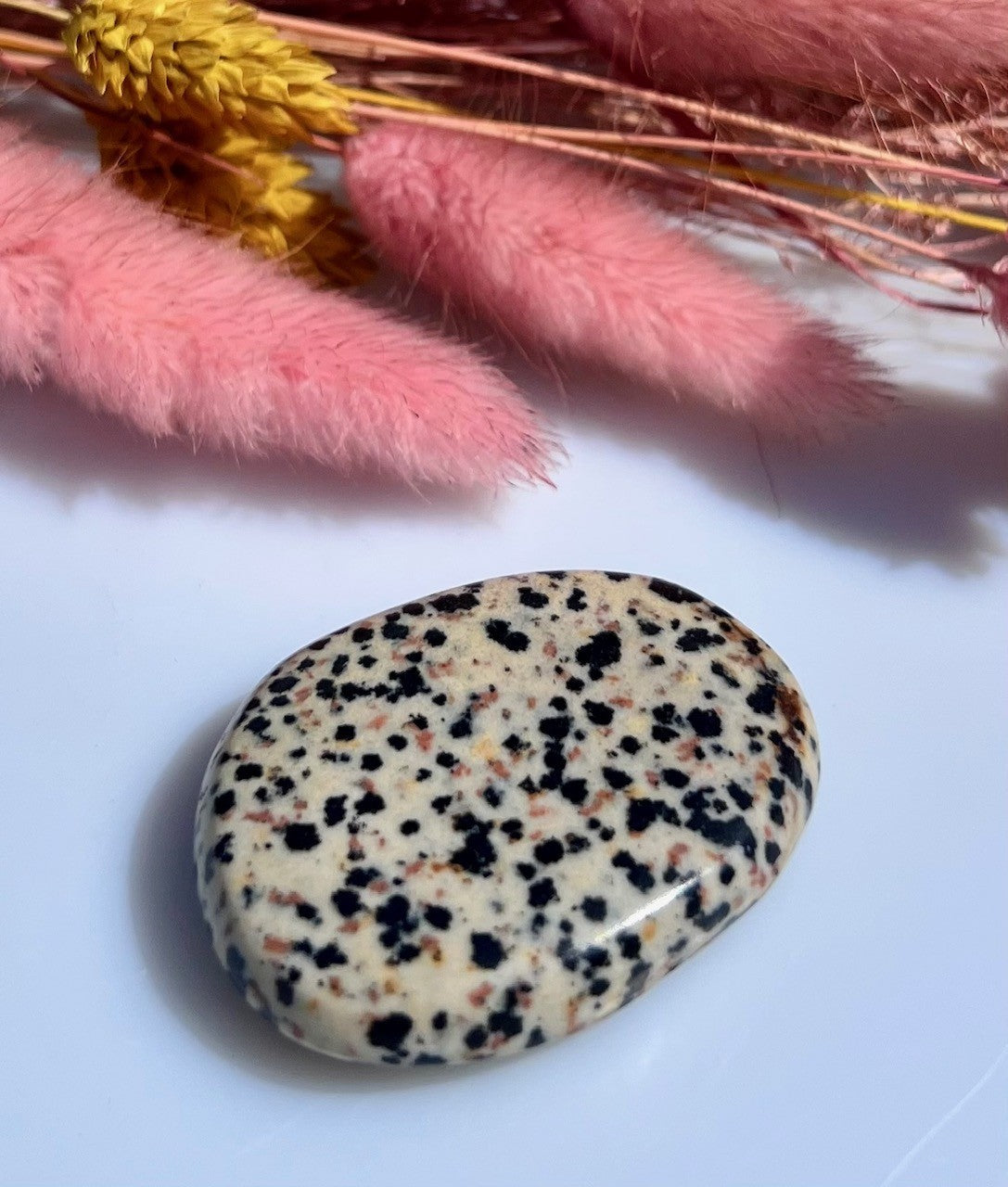 Jaspis Dalmatin disc 1