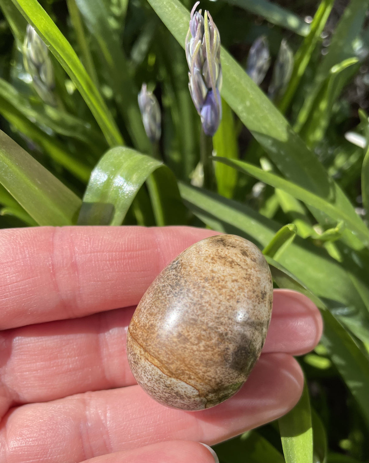 Jaspis landskab æg 3,5cm 2