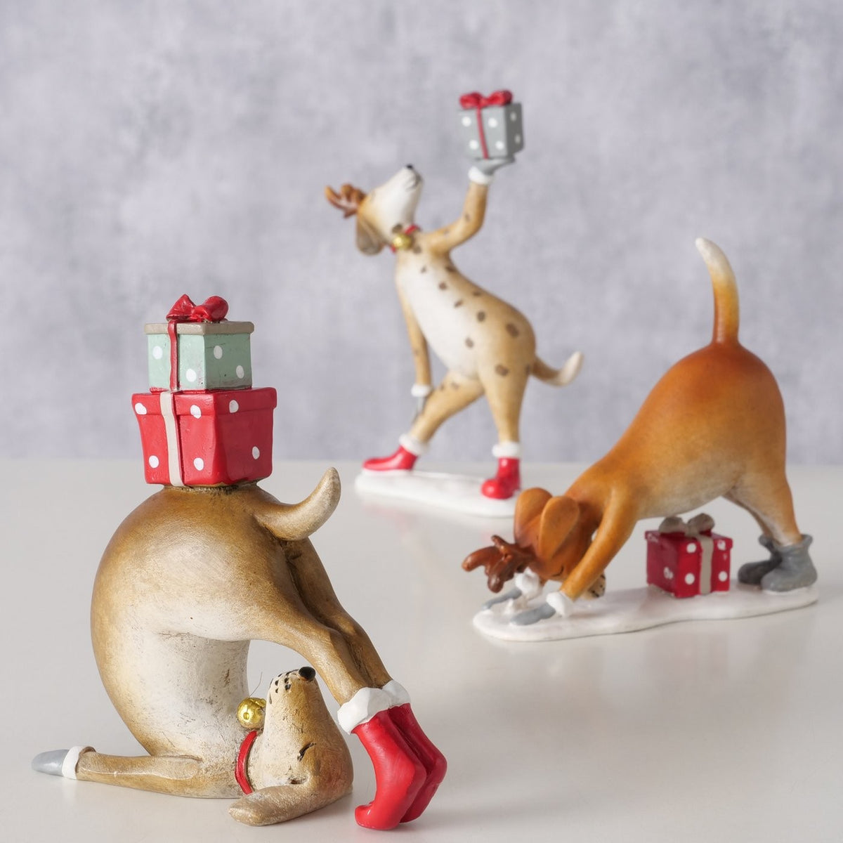 Jule Hunde 1