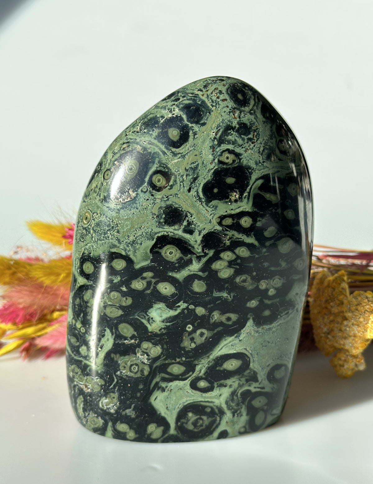 Kambaba freeform 14,5 cm 2