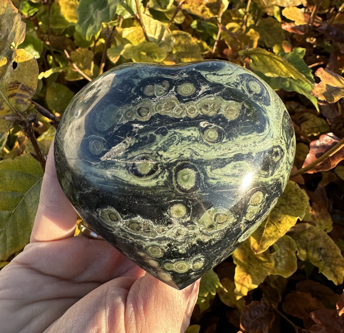Kambaba Hjerte 9 cm 1