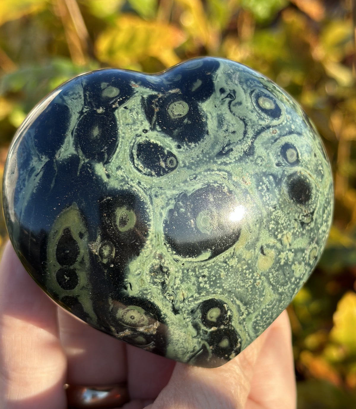 Kambaba Hjerter 8,5 cm 3