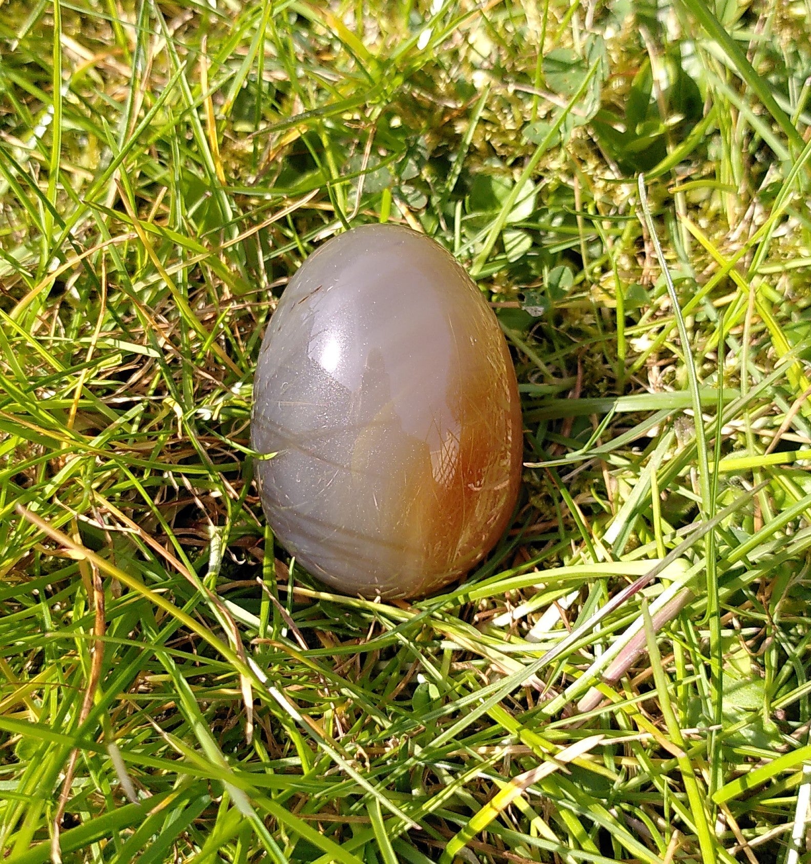 Karneol æg 4.8 cm 1