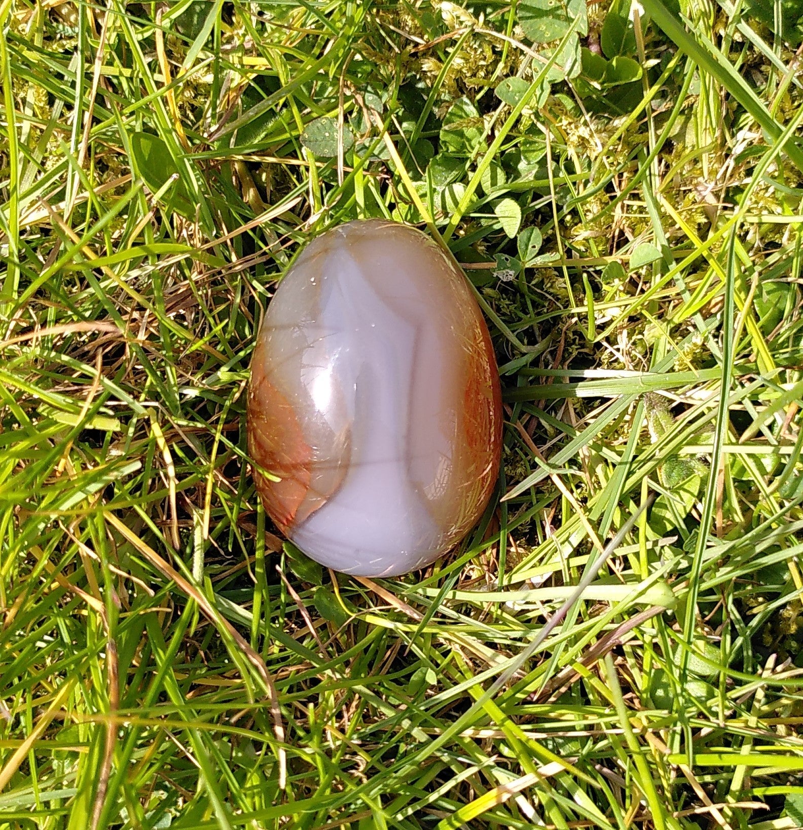 Karneol æg 4.8 cm 2