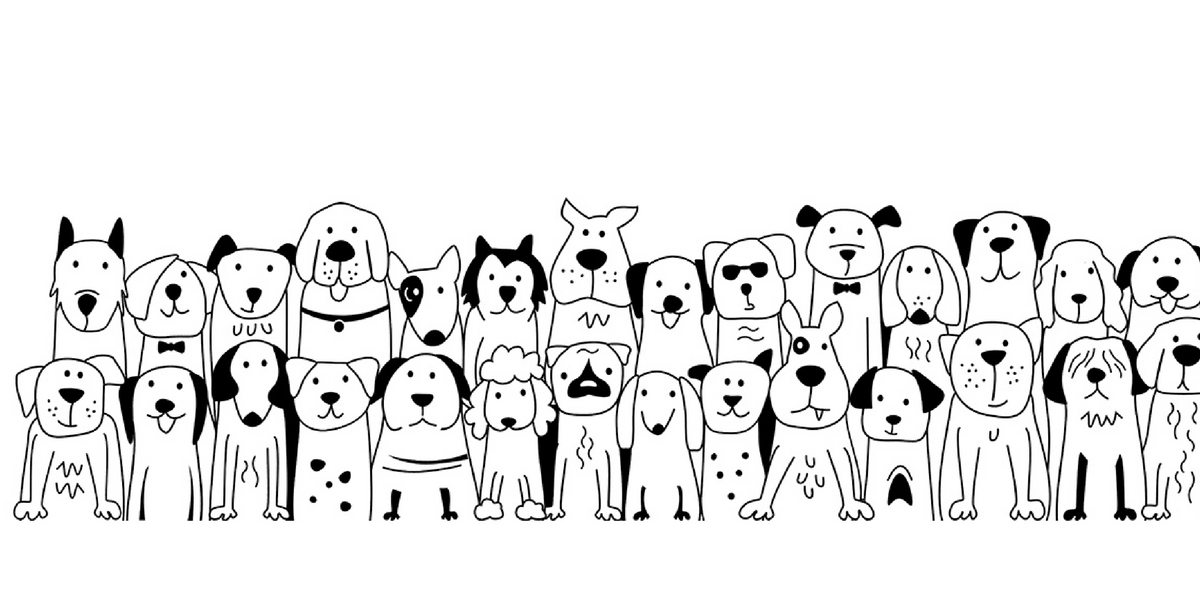 Kop - Hundebanden 6