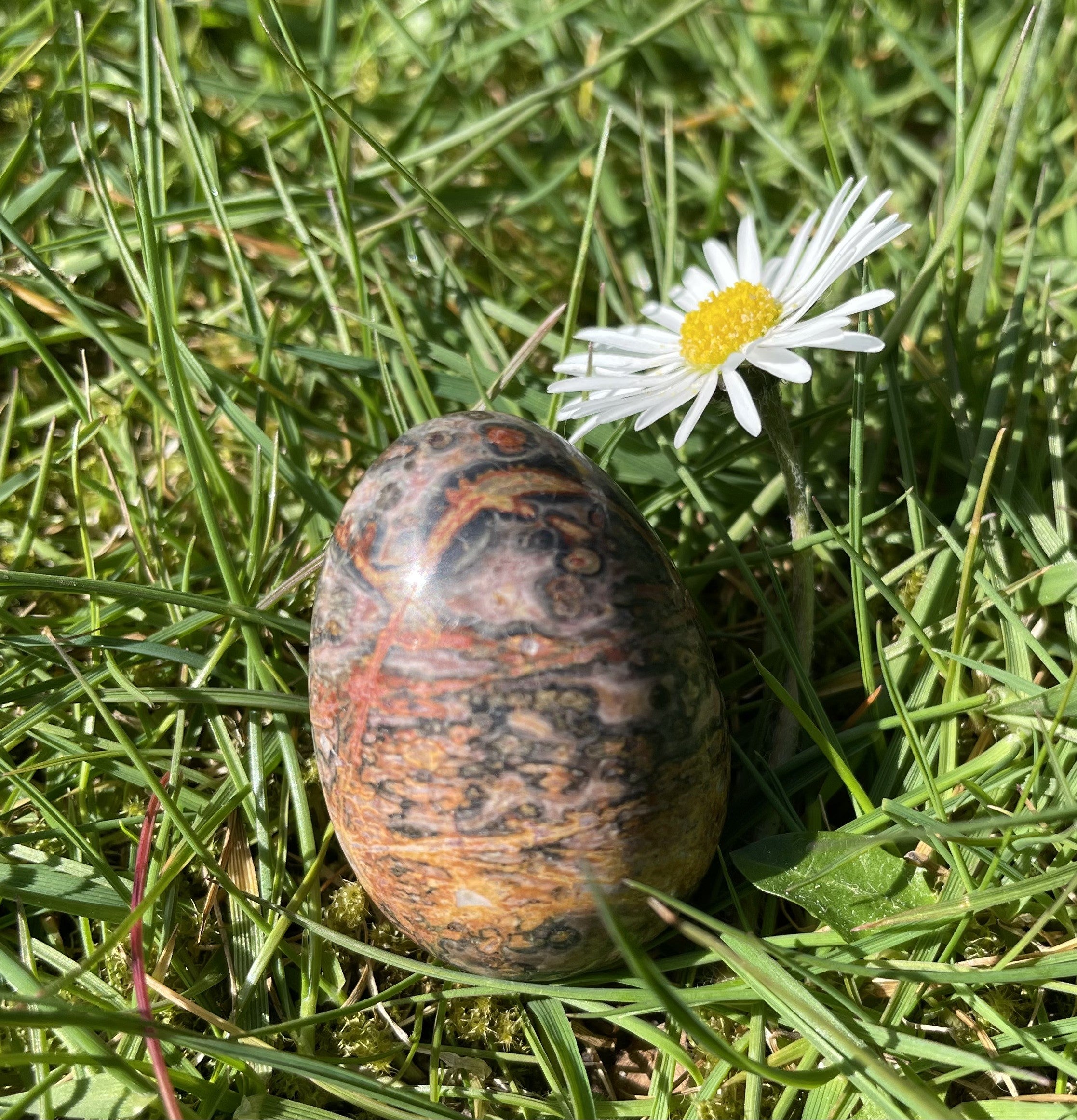 Leopard æg 3,5 cm 1