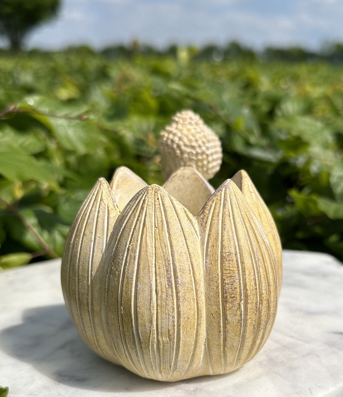 Lille buddha lotus lys 4