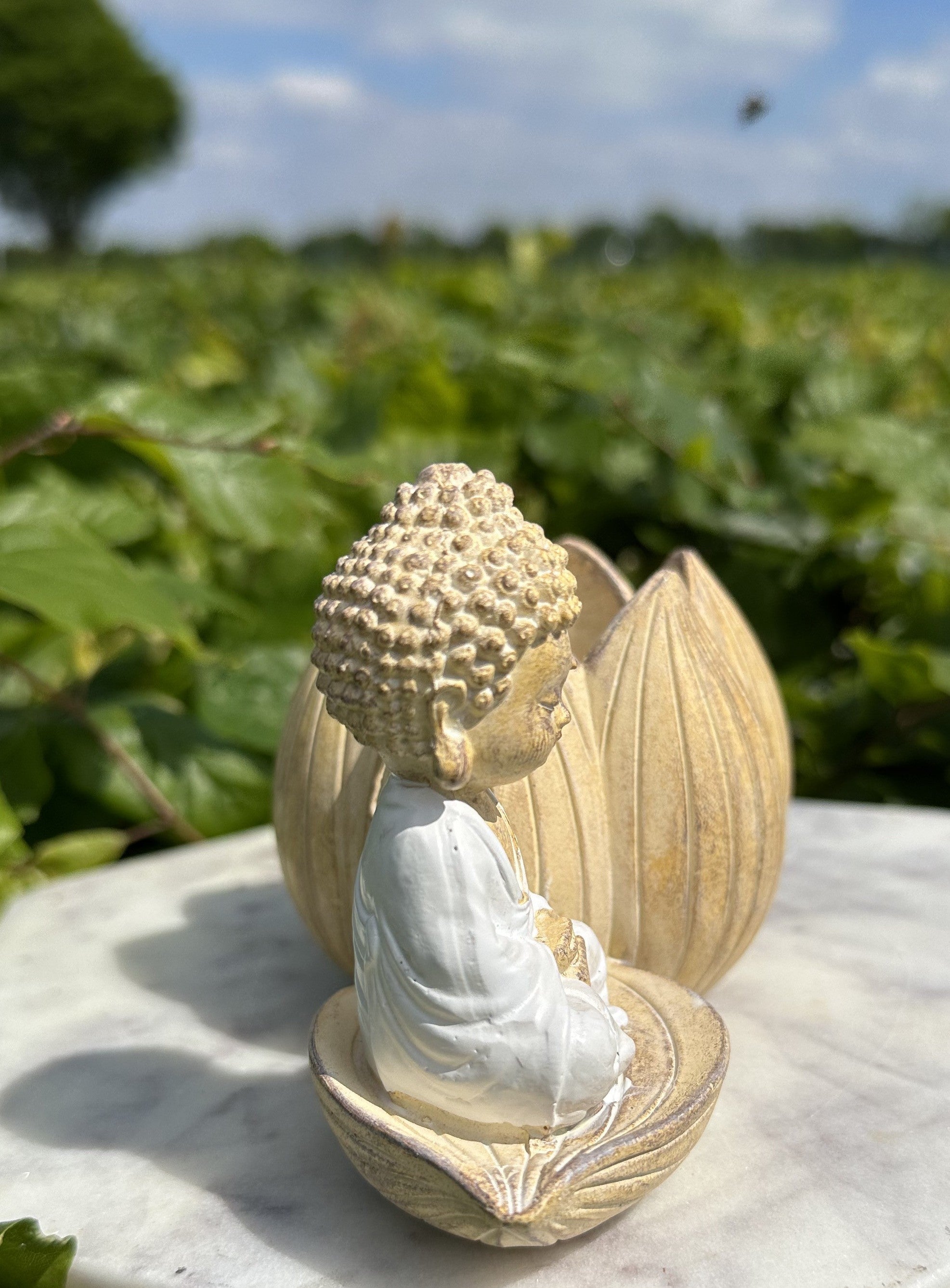 Lille buddha lotus lys 5