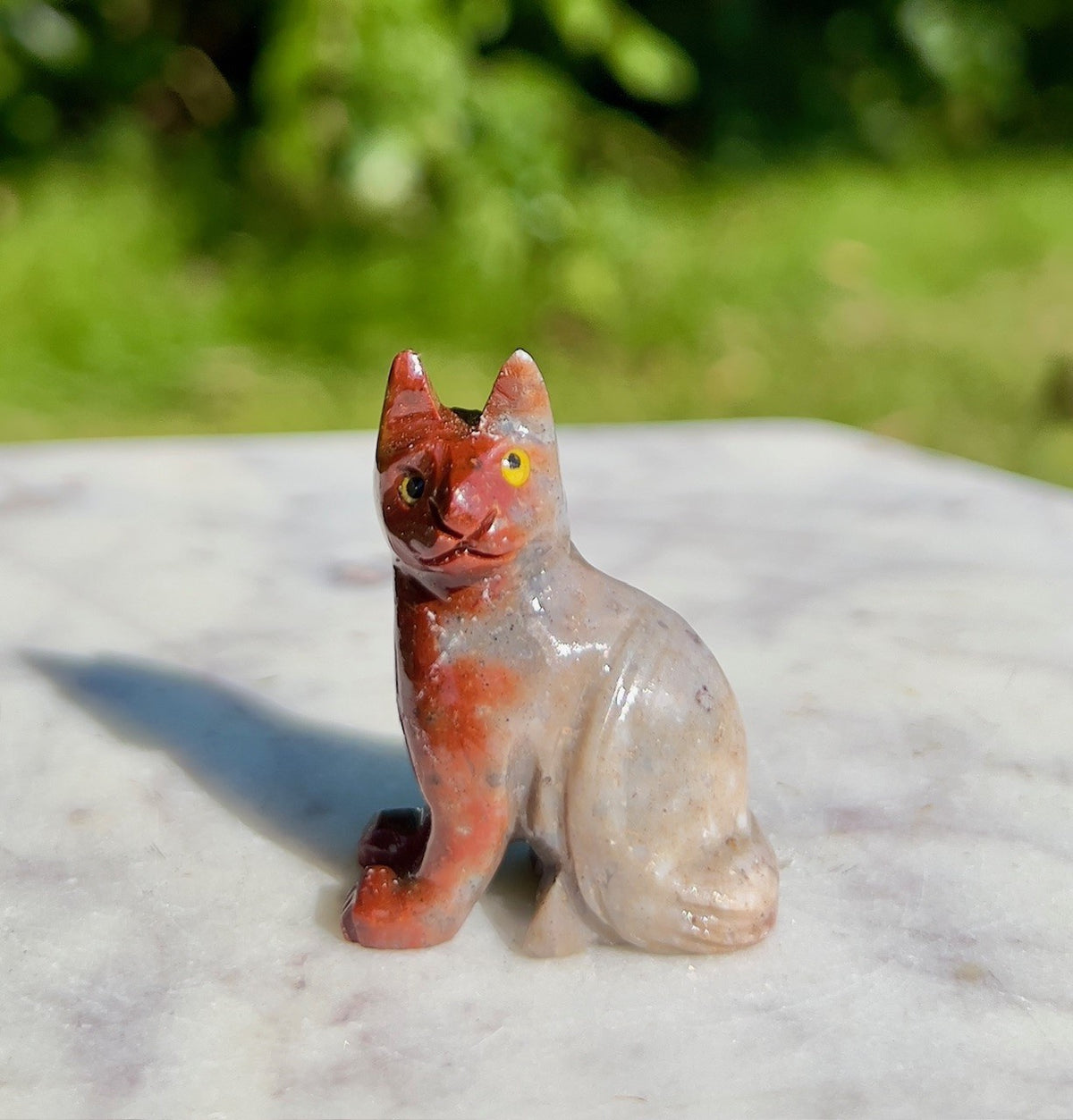Lille kat Onyx 4