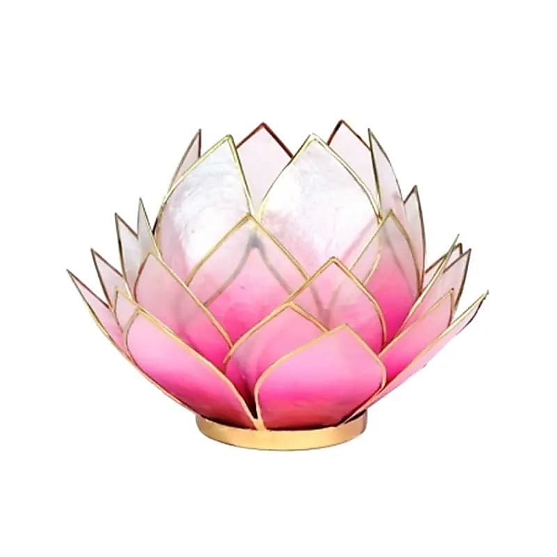 Lotus lyserød / guld L 1
