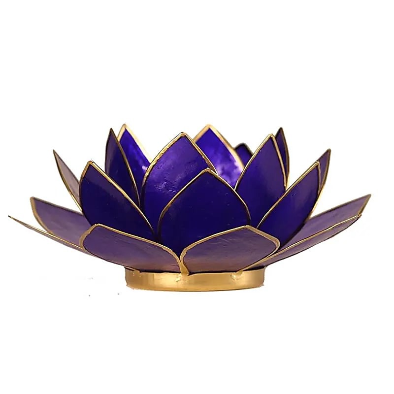 Lotus lysestage Indigo 2