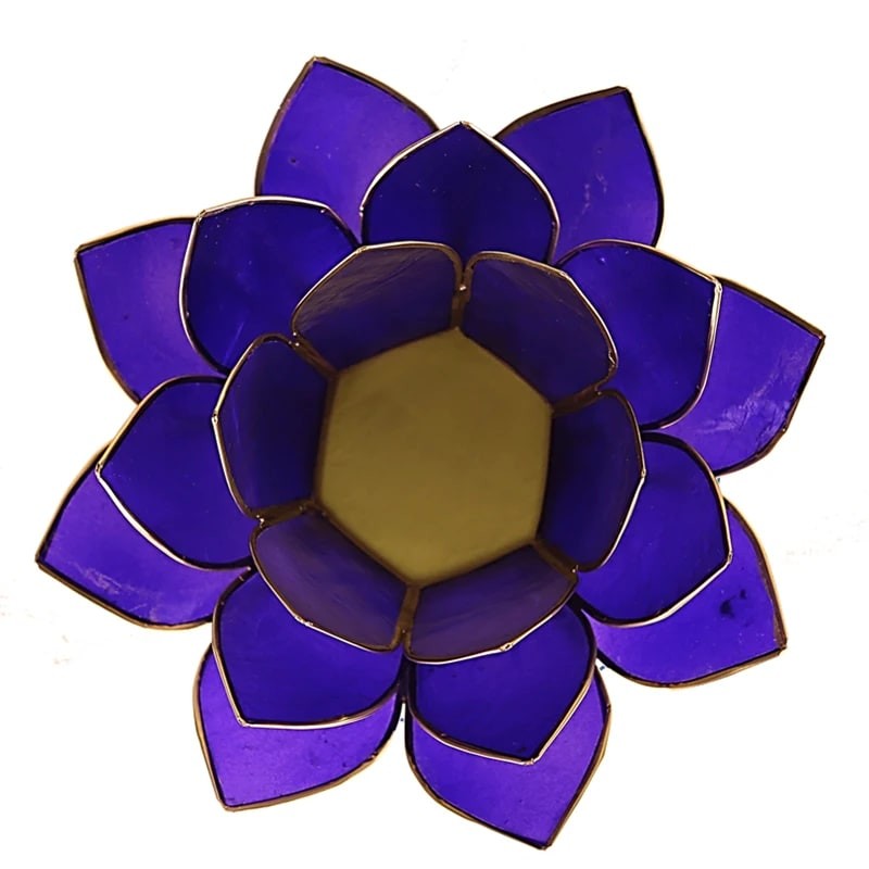 Lotus lysestage Indigo 3