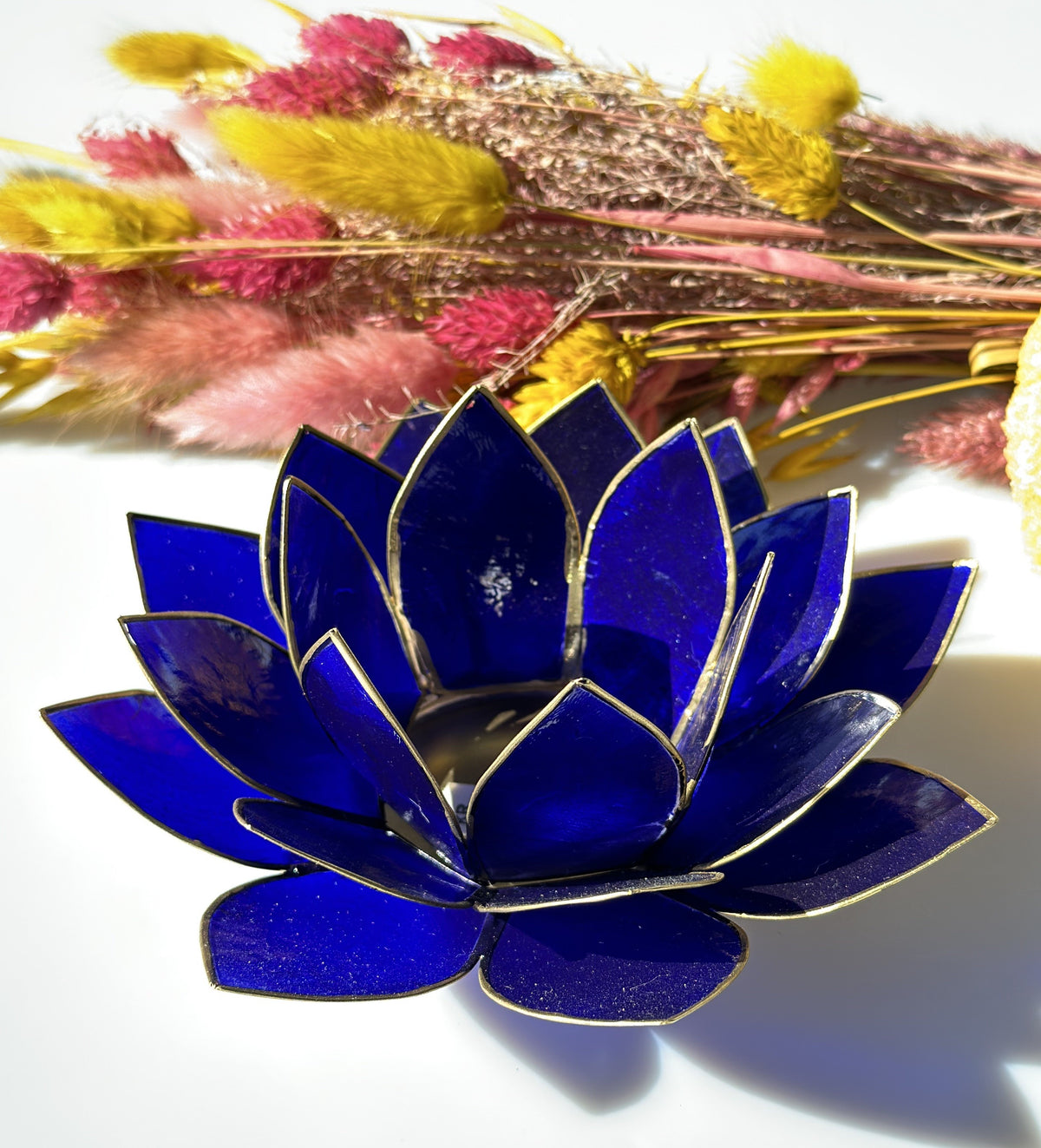 Lotus lysestage Indigo 4