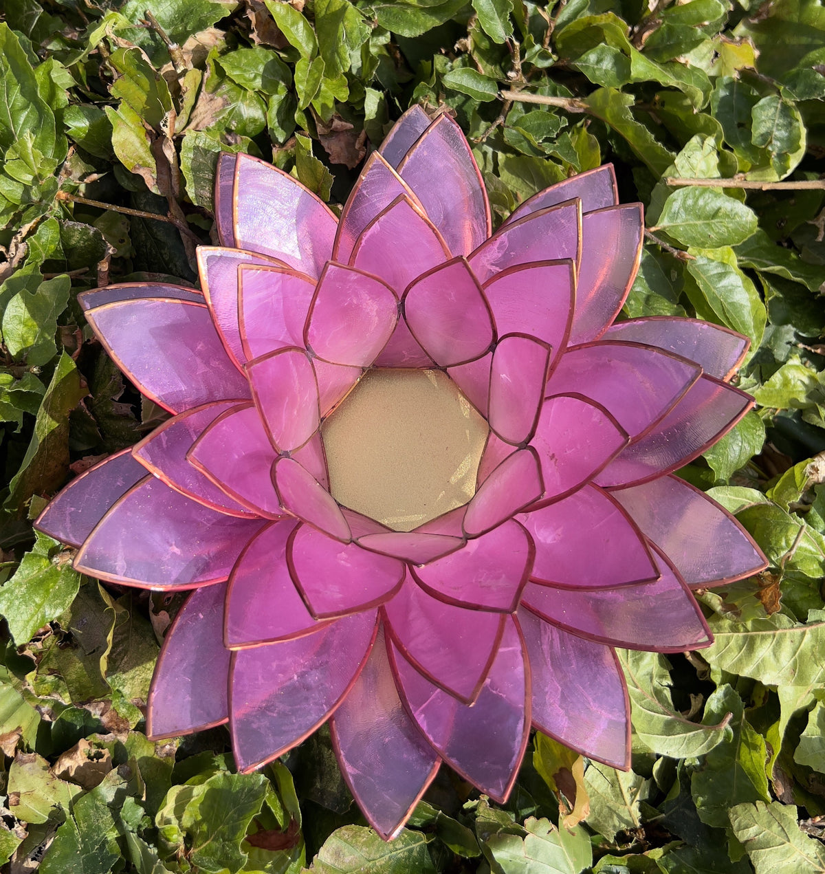 Lotus lysestage Lyserød XL 2