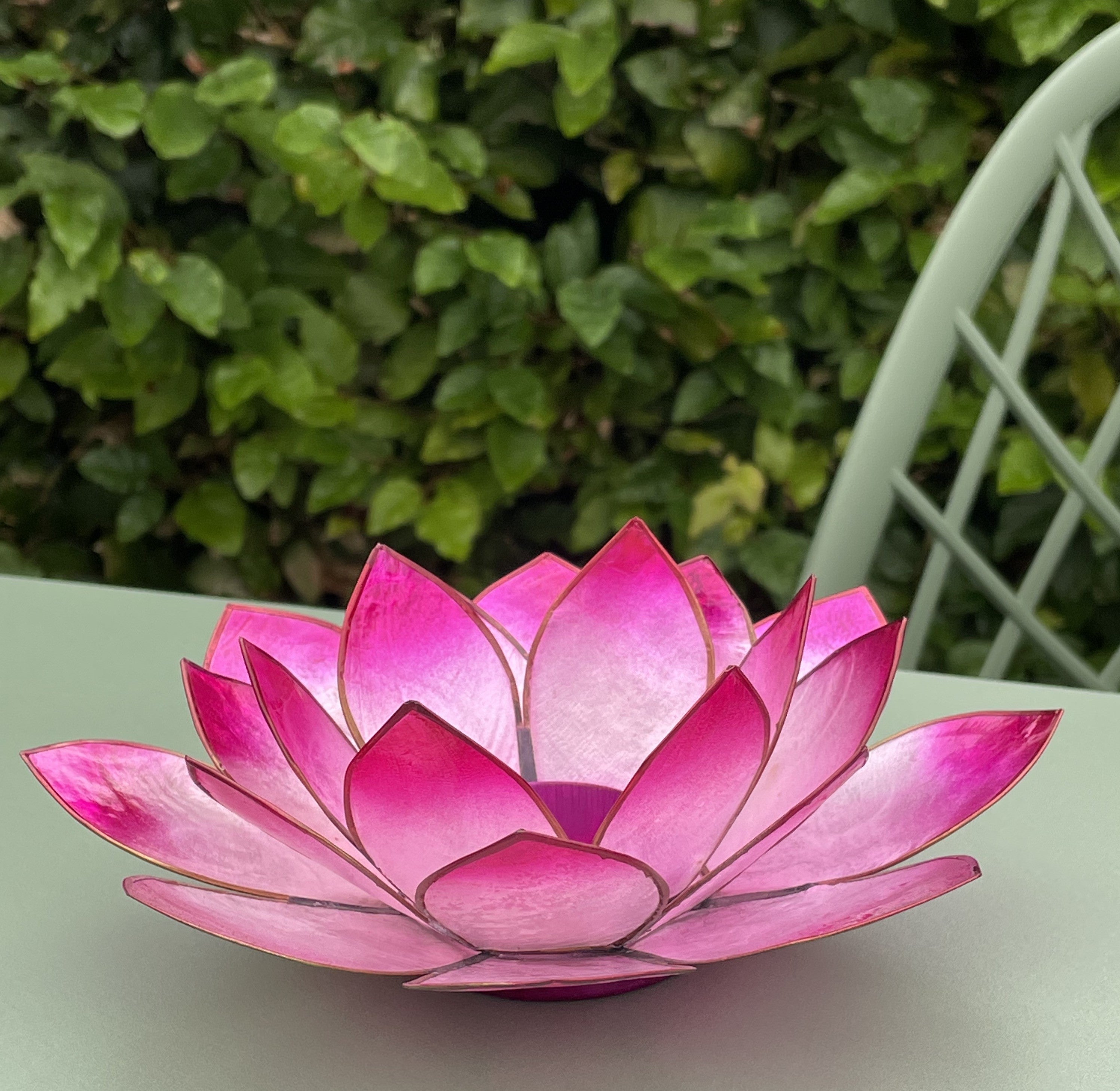 Lotus lysestage Pink 2