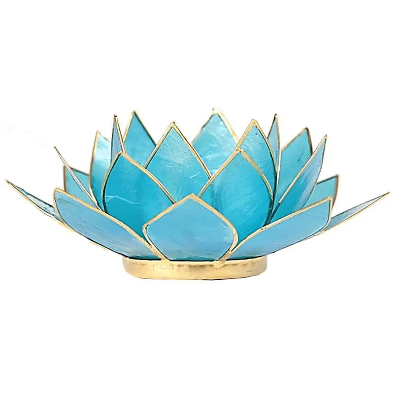 Lotus lysestage tyrkis guld 2