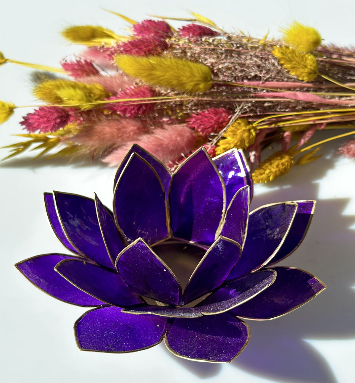 Lotus lysestage violet 13,5 cm 4