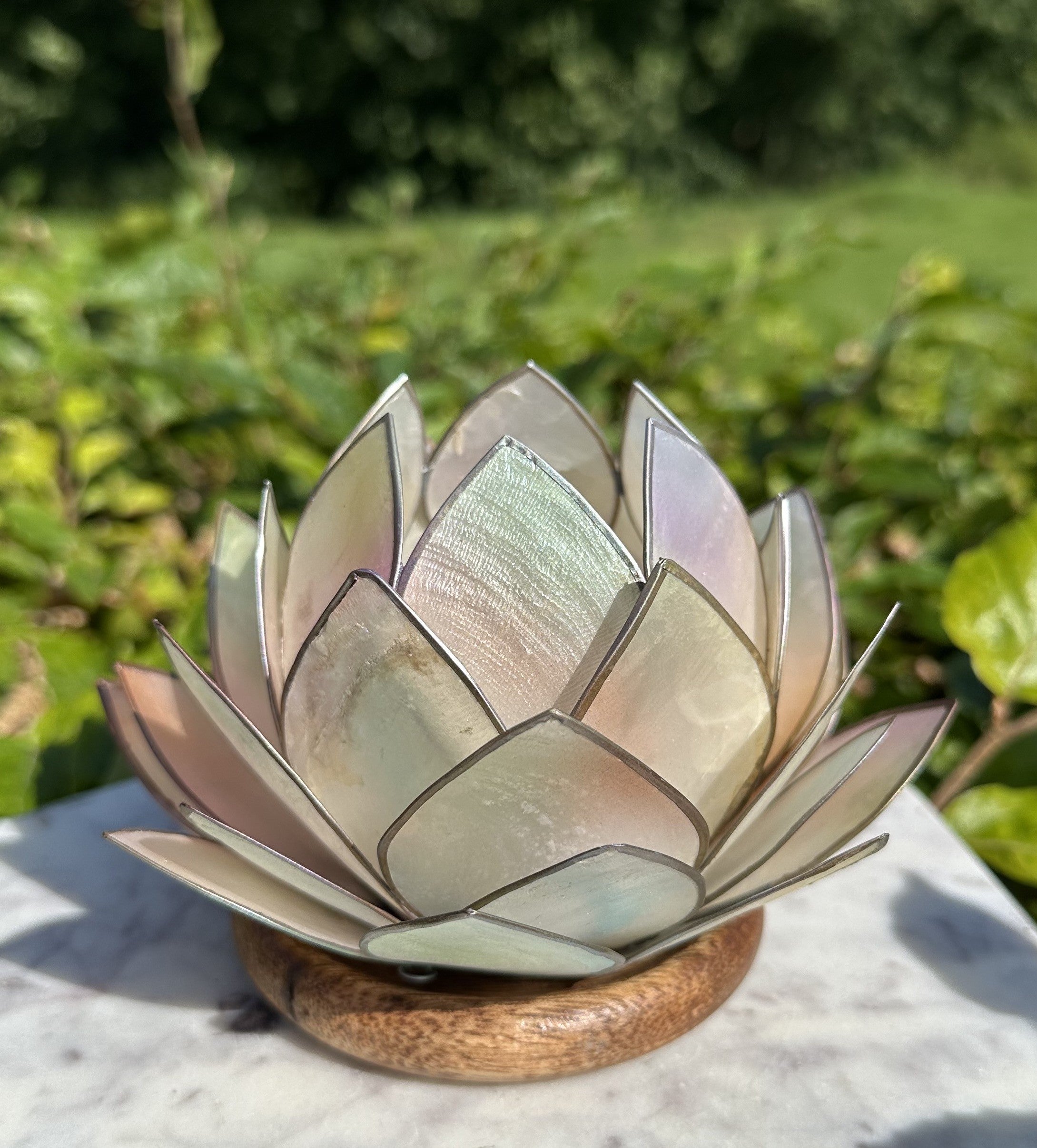 Lotus Stage med træ fod - Opal dream 1