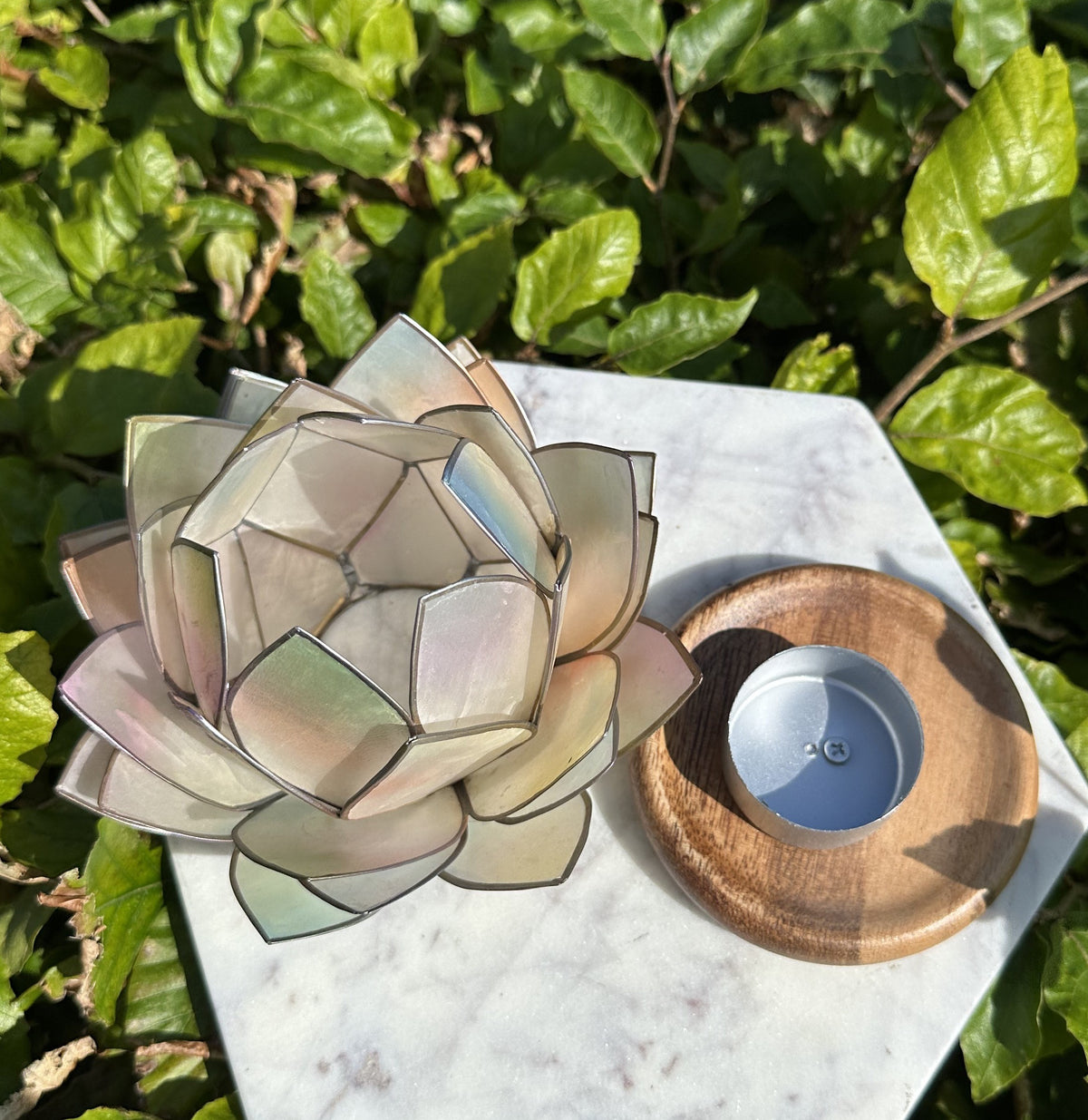 Lotus Stage med træ fod - Opal dream 2