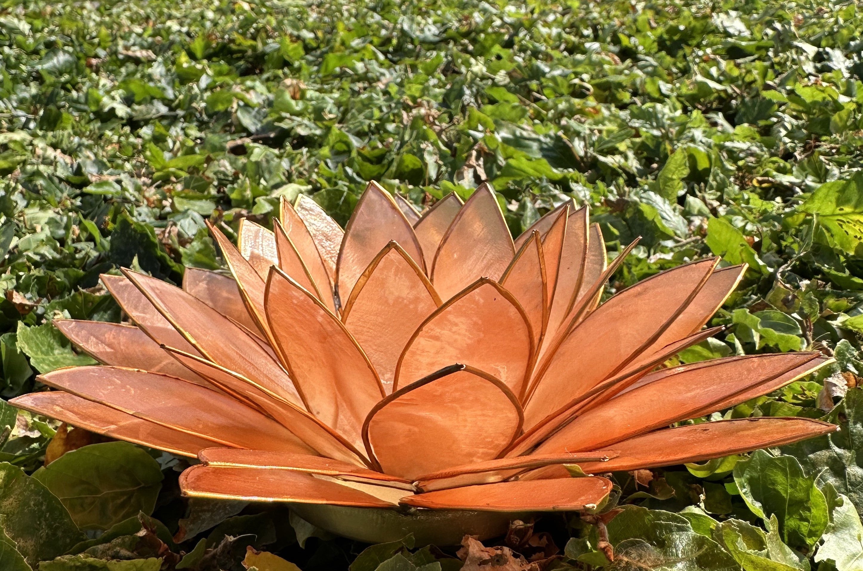 Lotus Stage XL - Peach 1