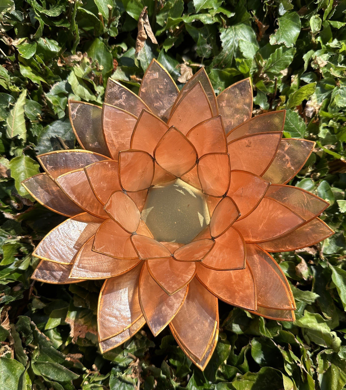 Lotus Stage XL - Peach 3