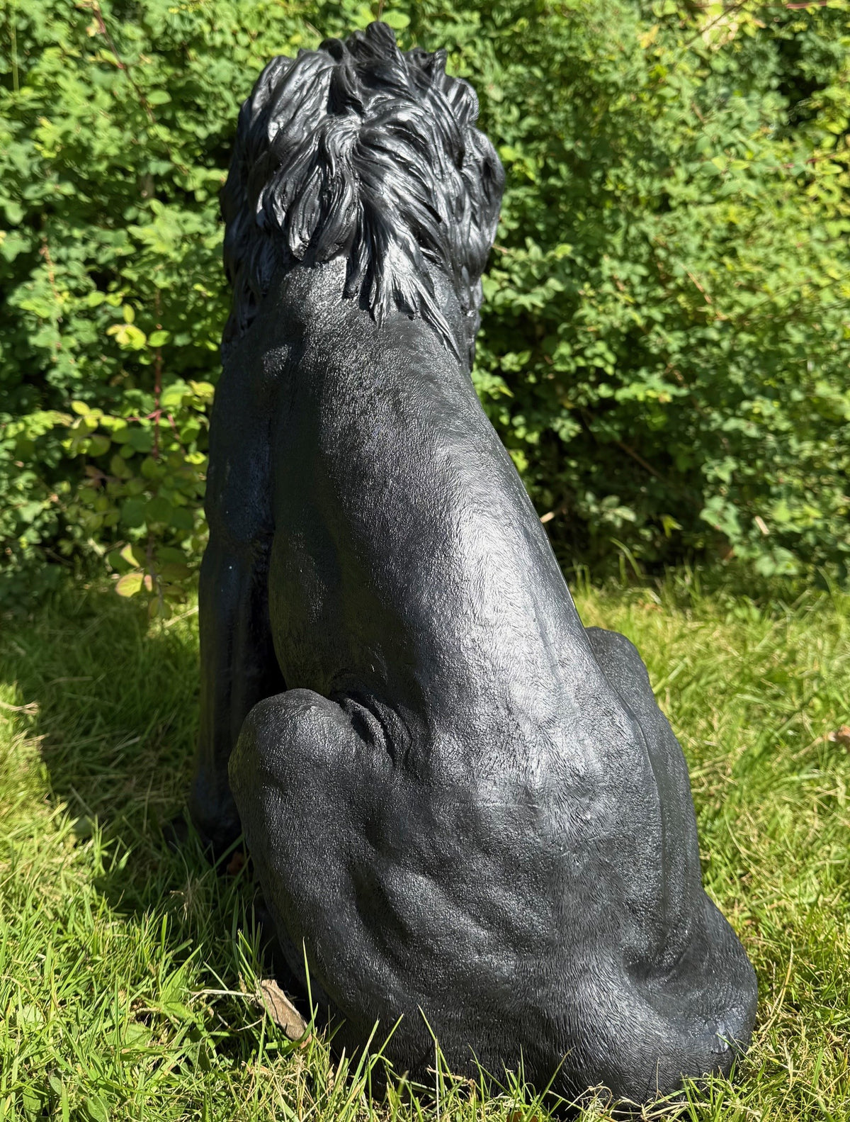 Løve figur 6