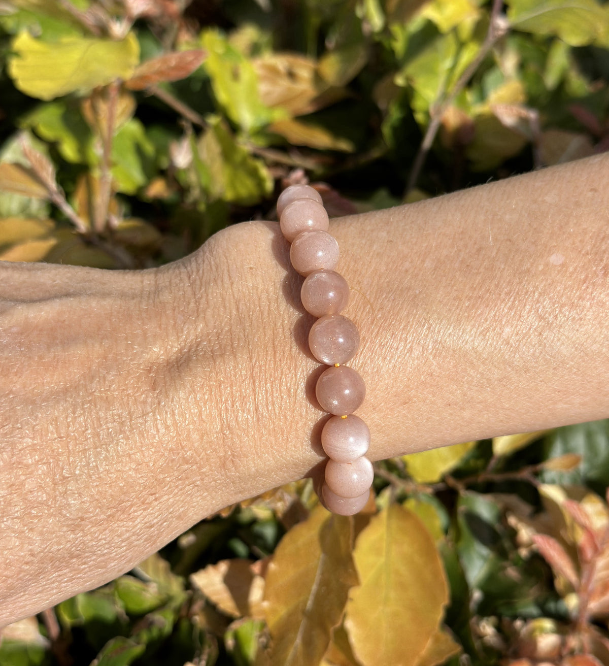 Månesten armbånd 10 mm 2
