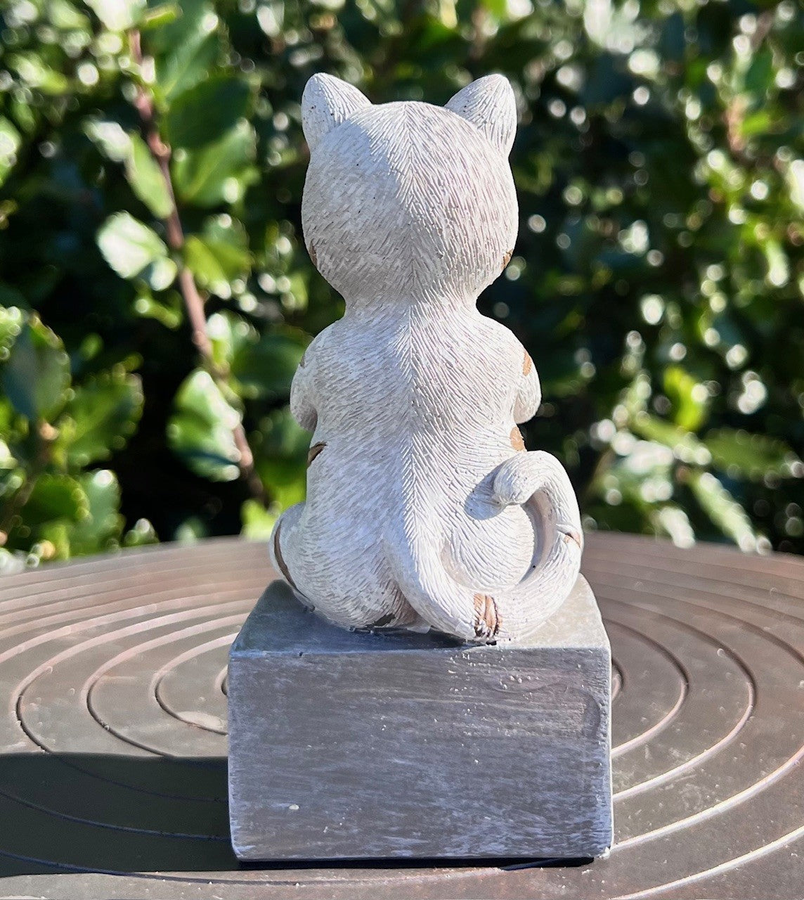 Mediterende kat 4