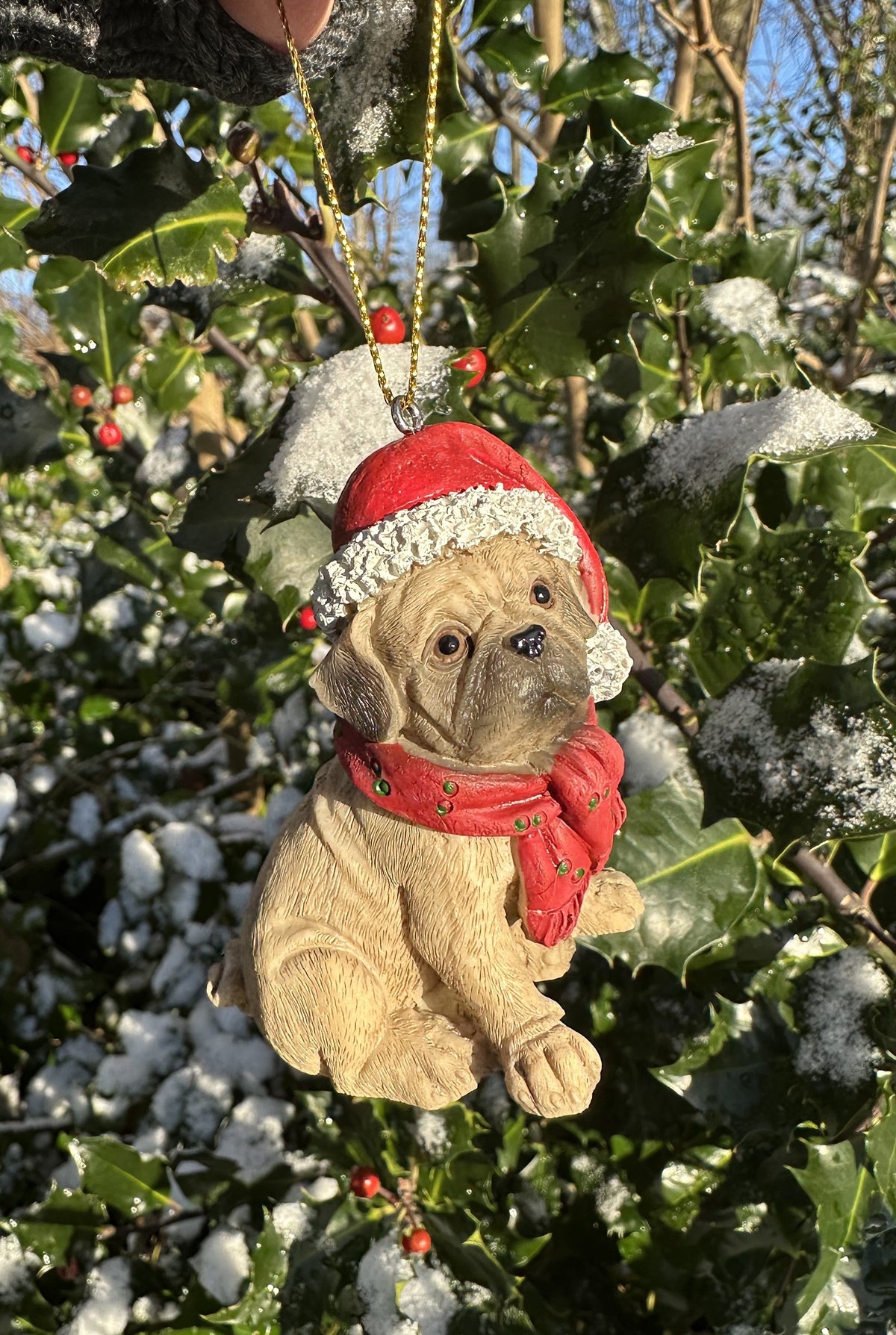 Mops - Julehund 1